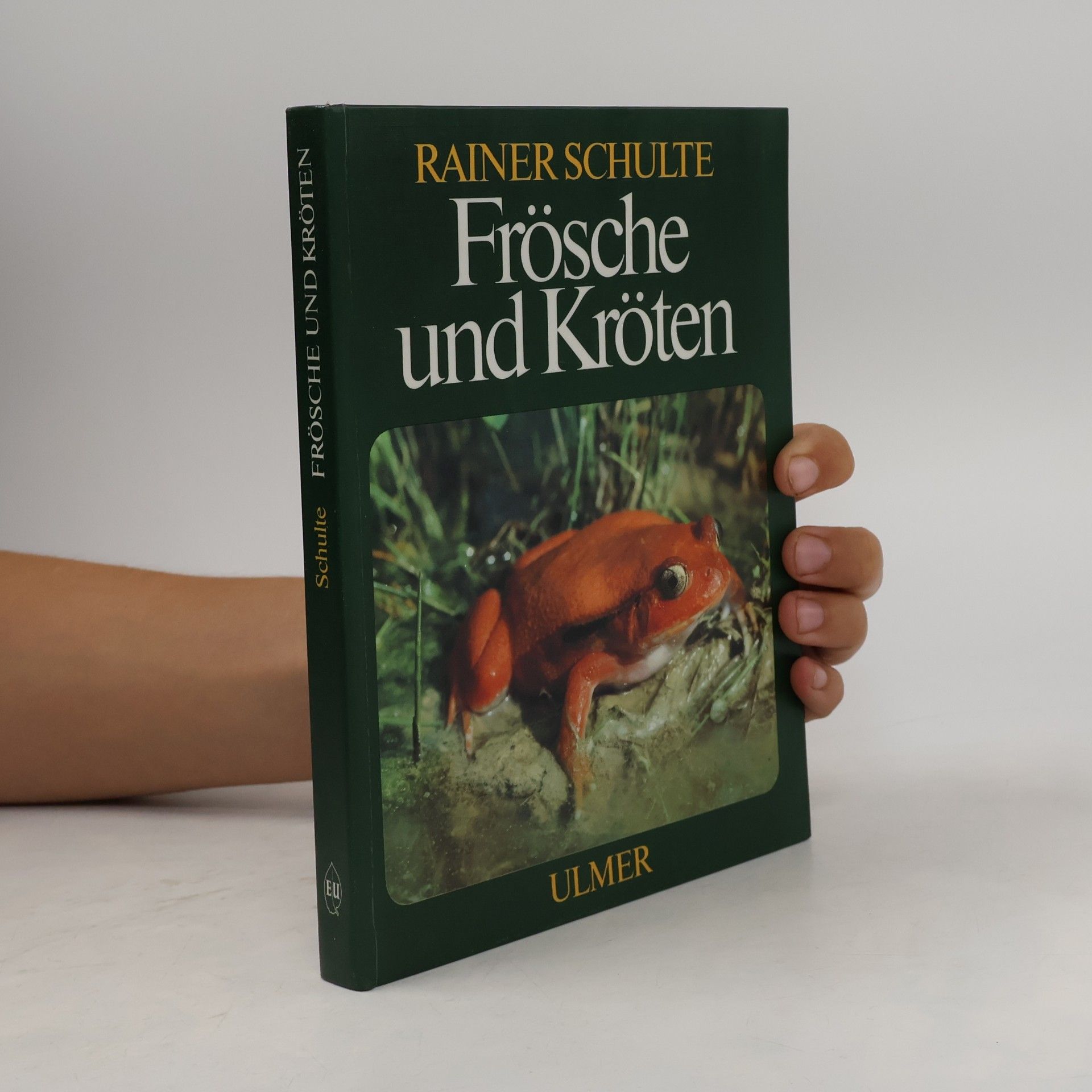 Rainer Schulte Frösche und Kröten