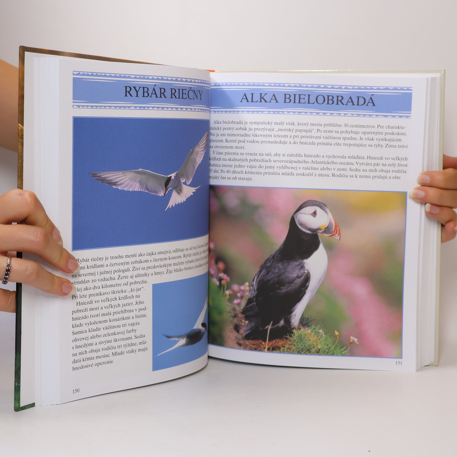 Kolektiv autorů Encyklopédia zvierat