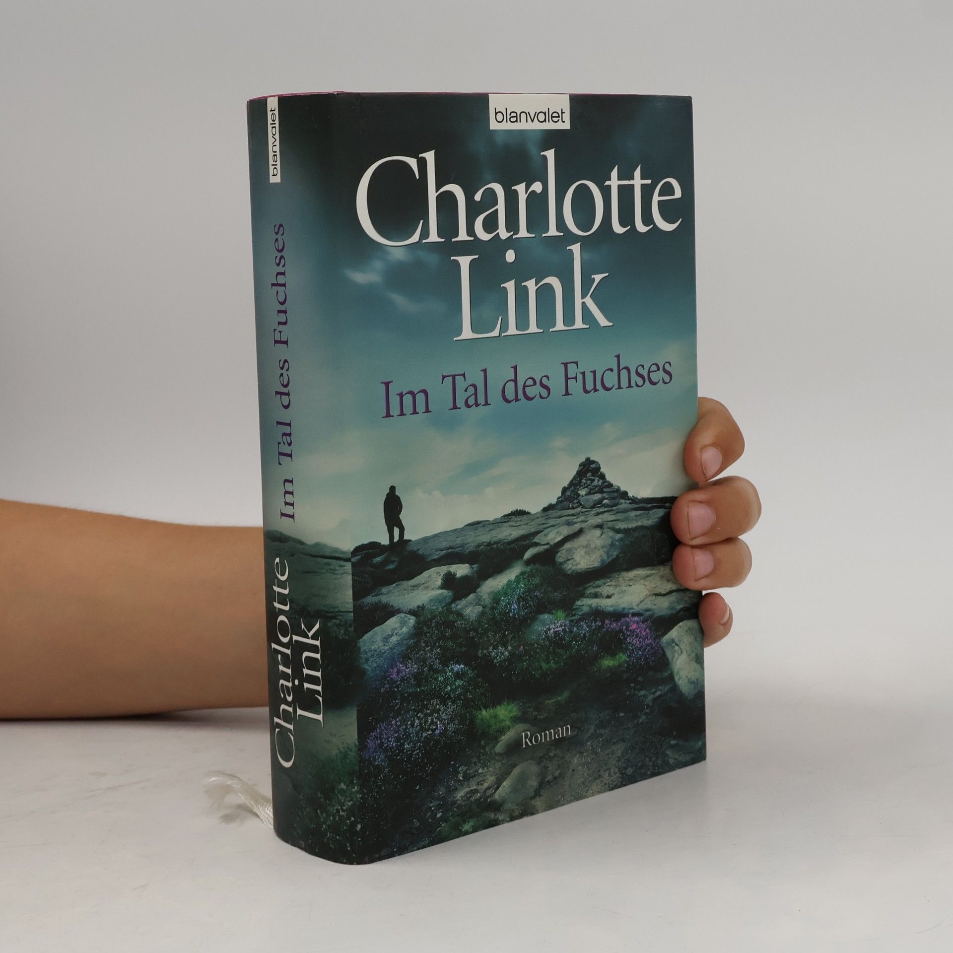 Charlotte Link Im Tal des Fuchses