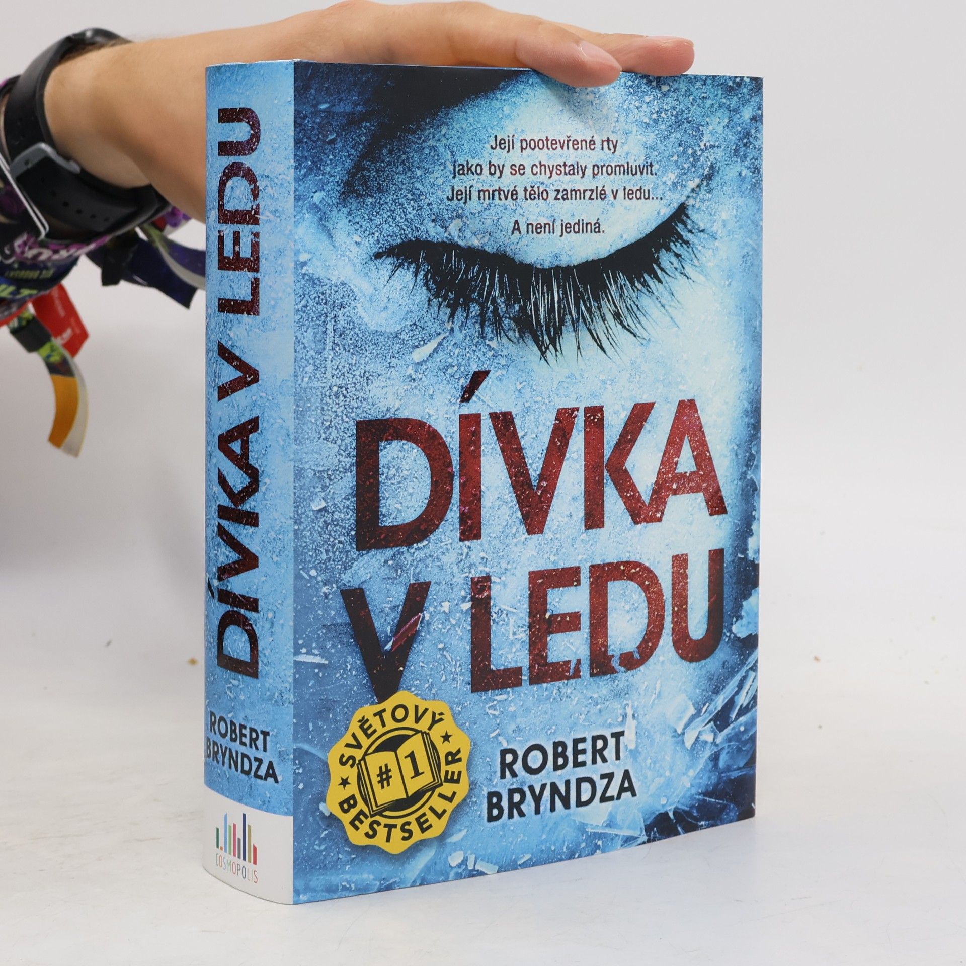 Robert Bryndza Dívka v ledu