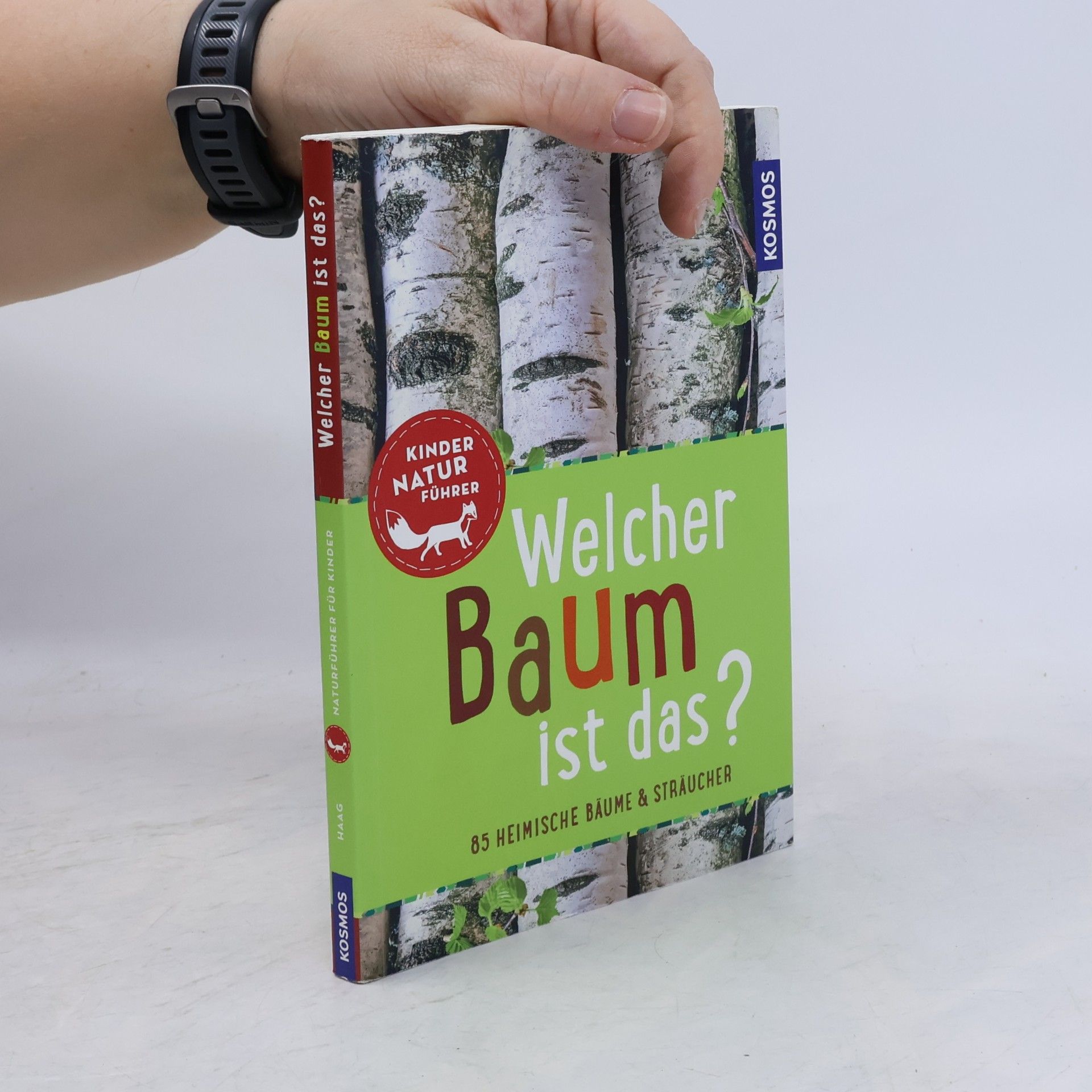Welcher Baum ist das?