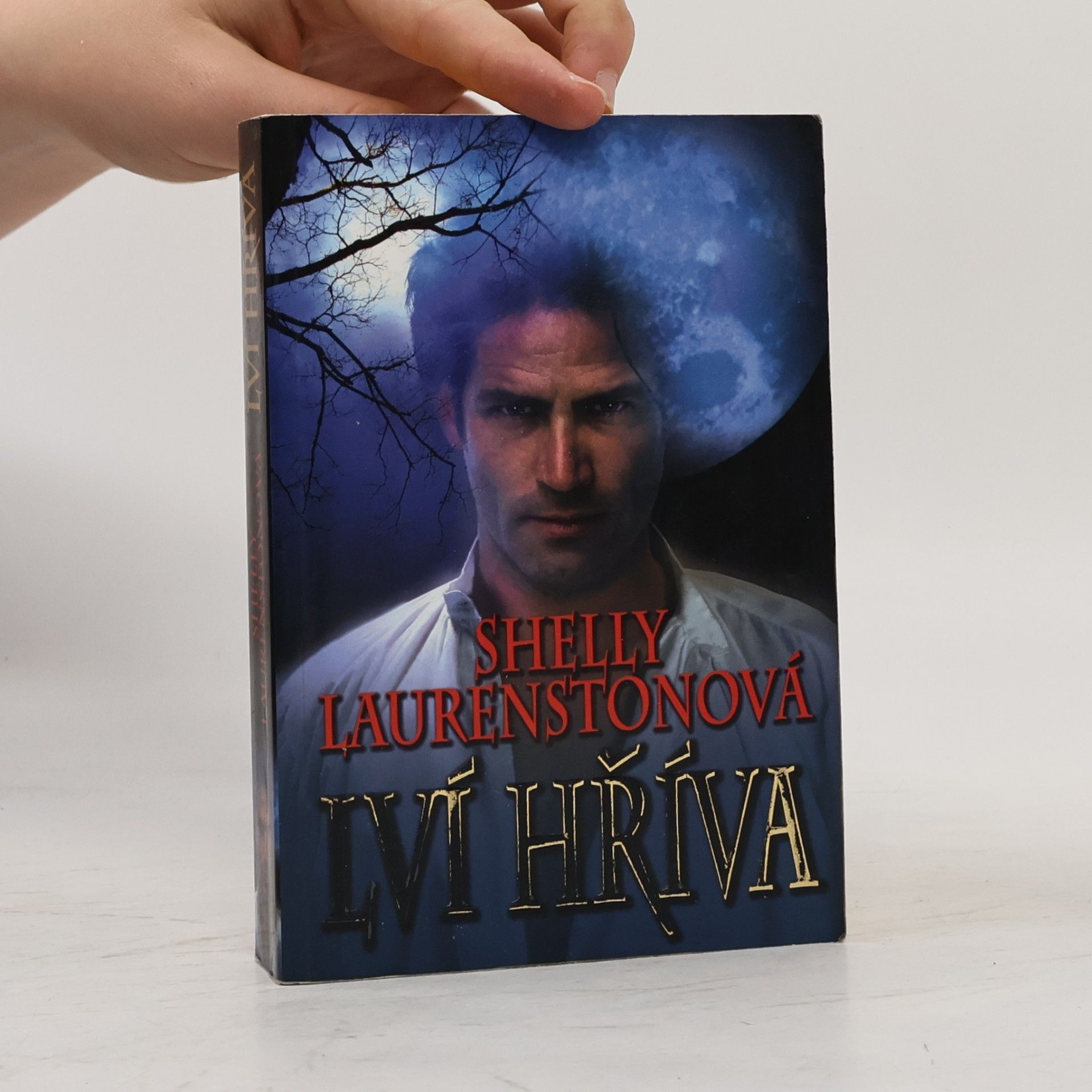 Glynis Aiken Lví hříva