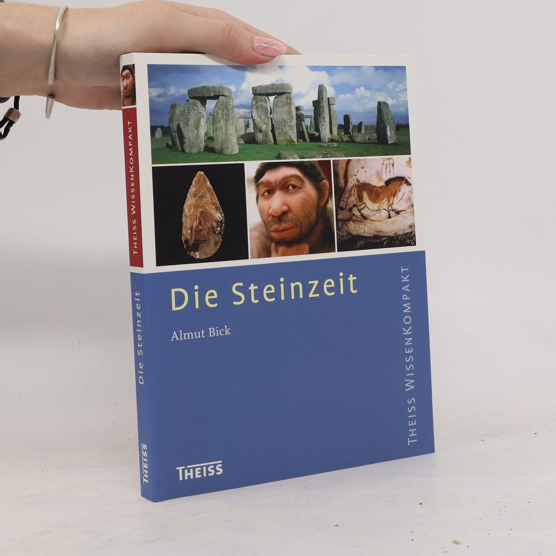 Almut Bick Steinzeit