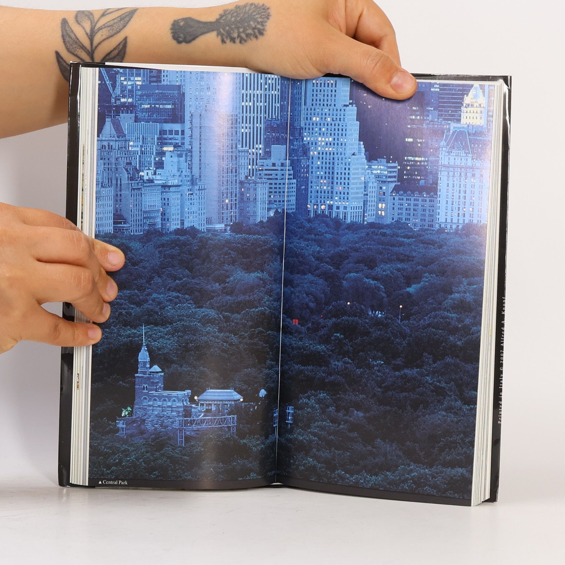 Elizabeth De Farcy Knopf Guides: New York