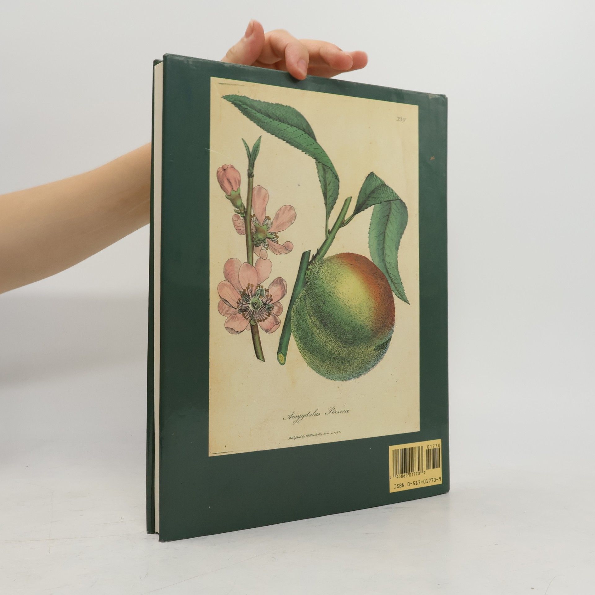 George Graves Medicinal Plants