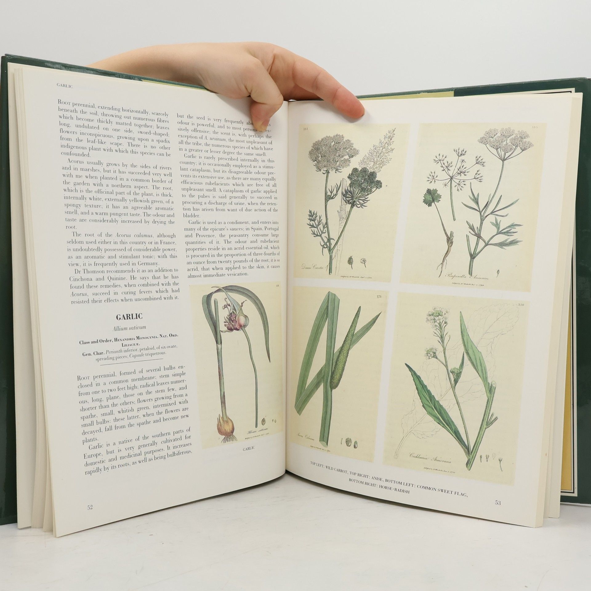 George Graves Medicinal Plants
