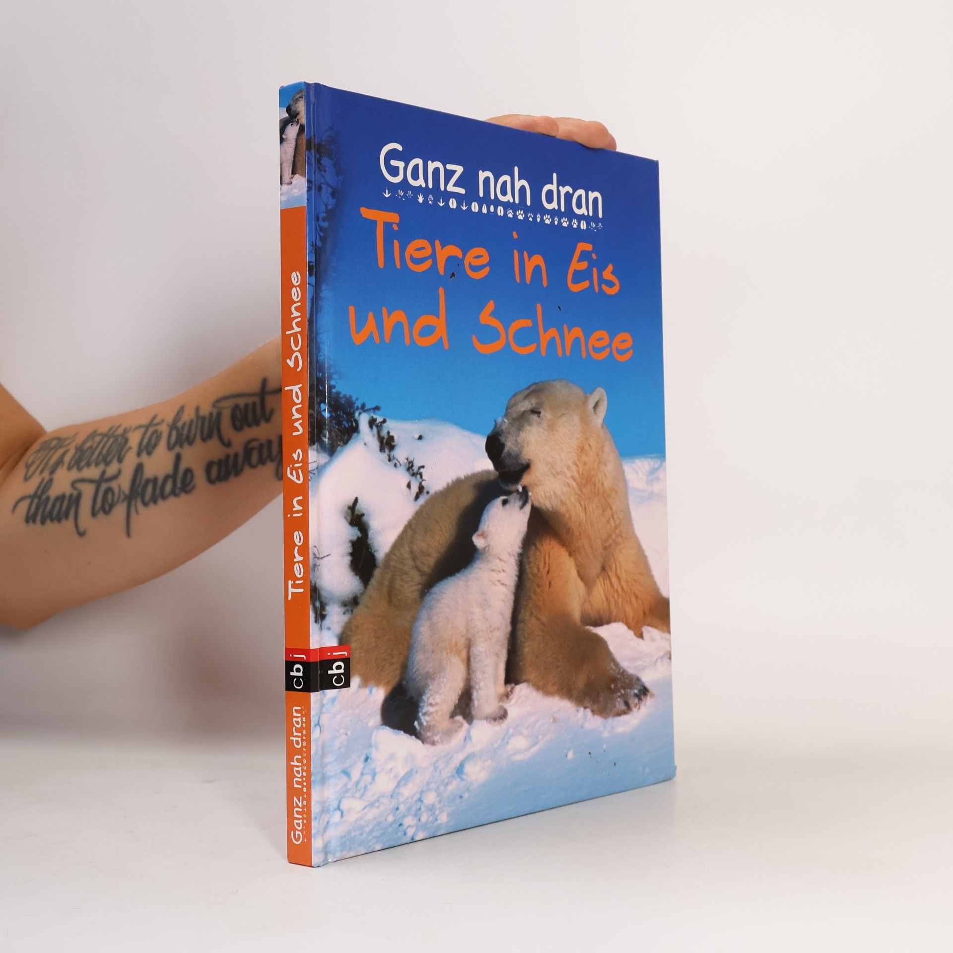 Cornelia Panzacchi Tiere in Eis und Schnee