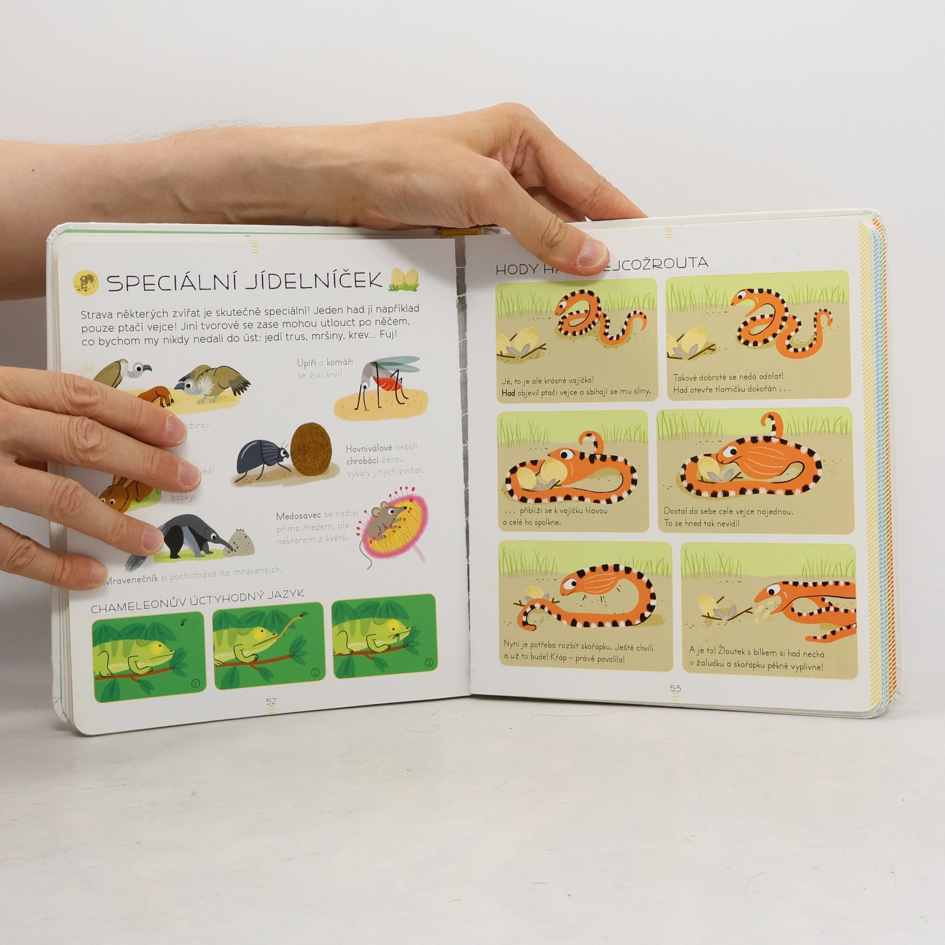 Sylvie Bézuel Zvířata: Encyklopedie Larousse
