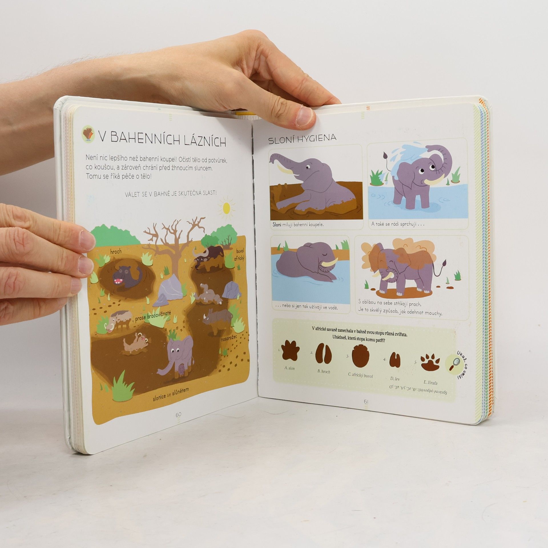 Sylvie Bézuel Zvířata: Encyklopedie Larousse