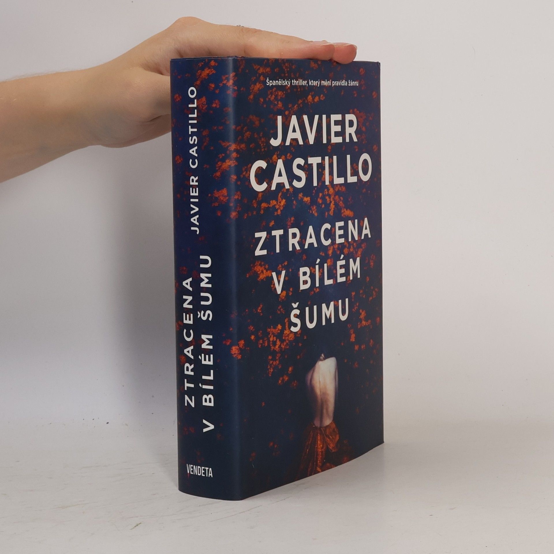 Javier Castillo Ztracena v bílém šumu