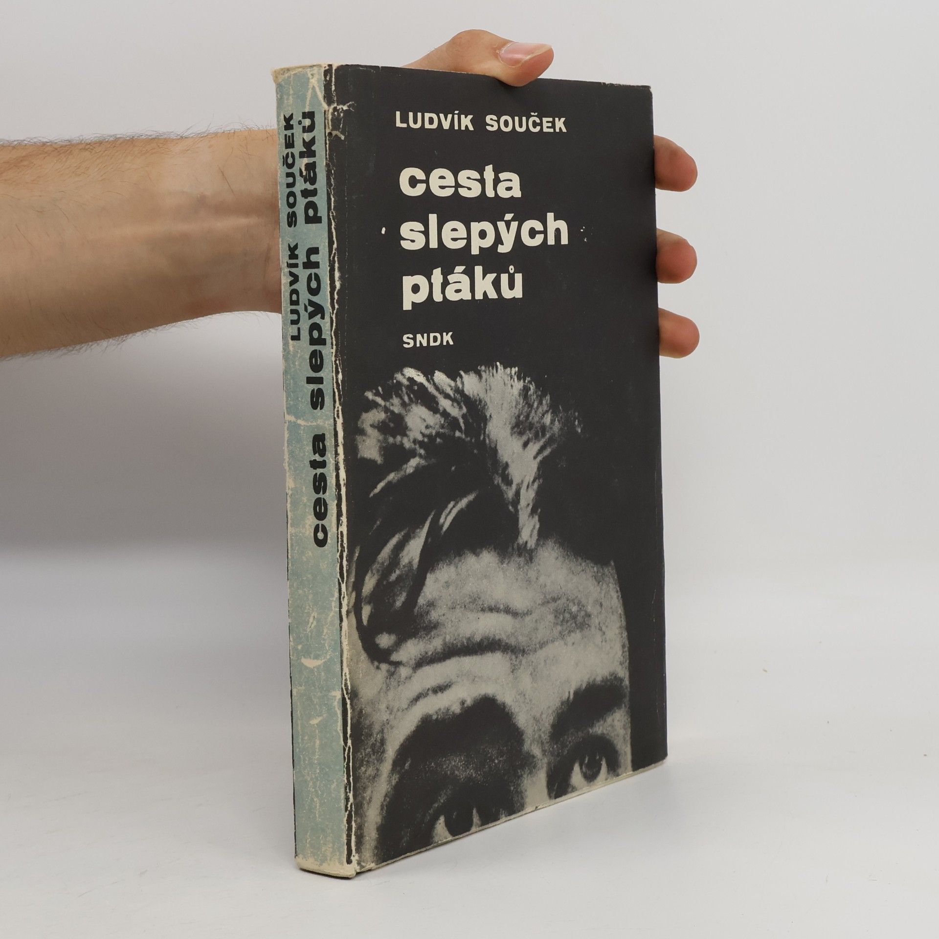 Ludvík Souček Cesta slepých ptáků