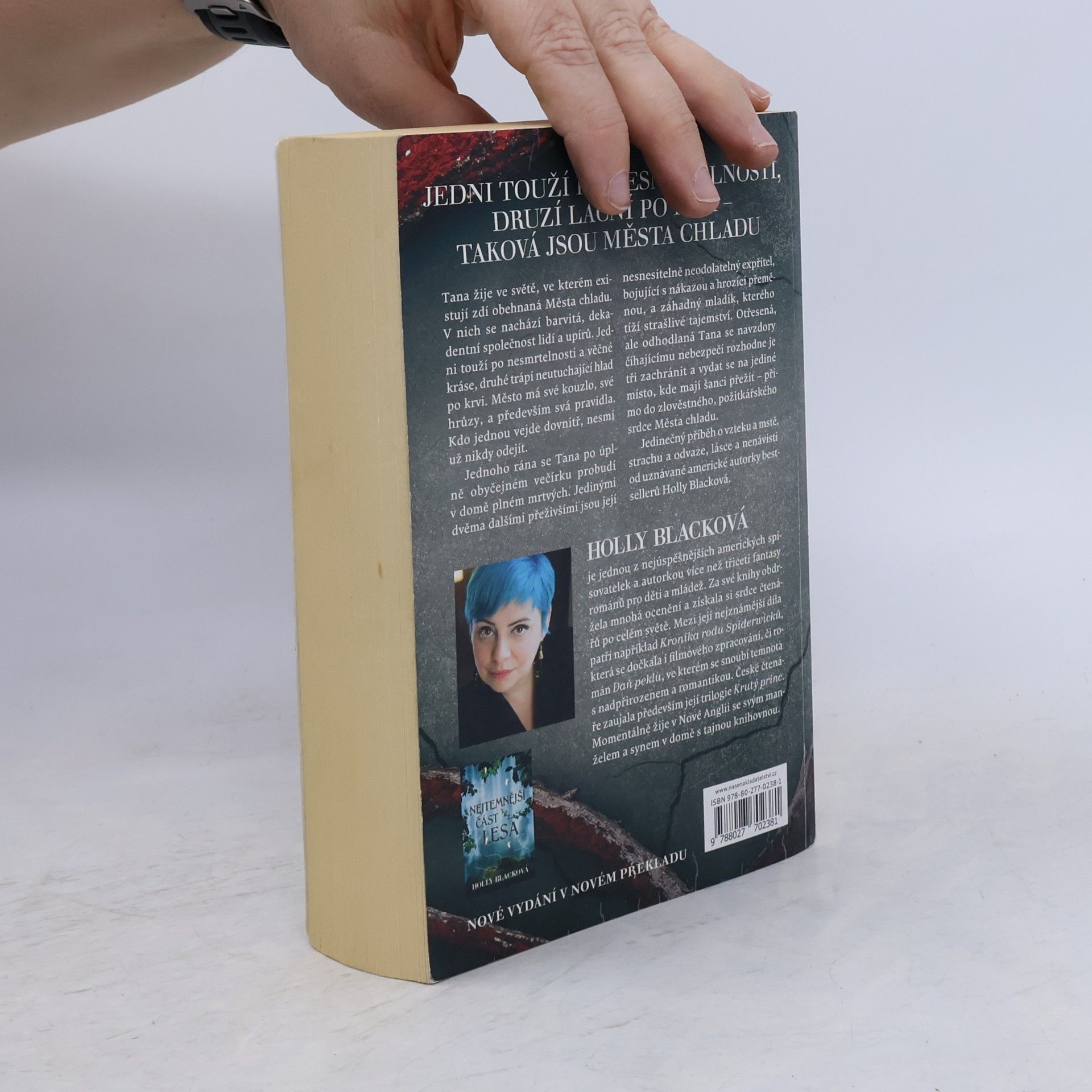 Holly Black Nejchladnější dívka ve městě chladu