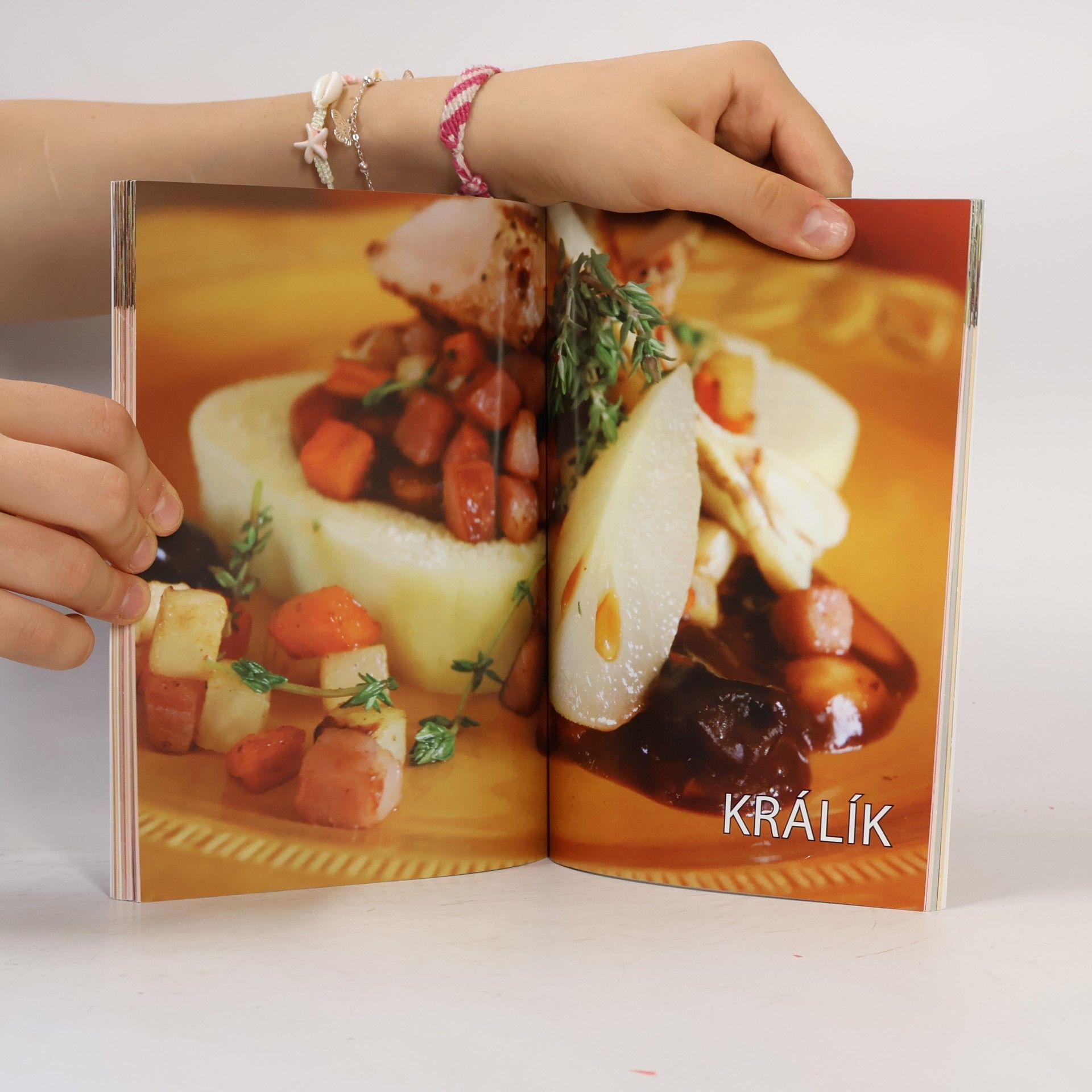 Natalie A. Rollko Pivní kuchařka