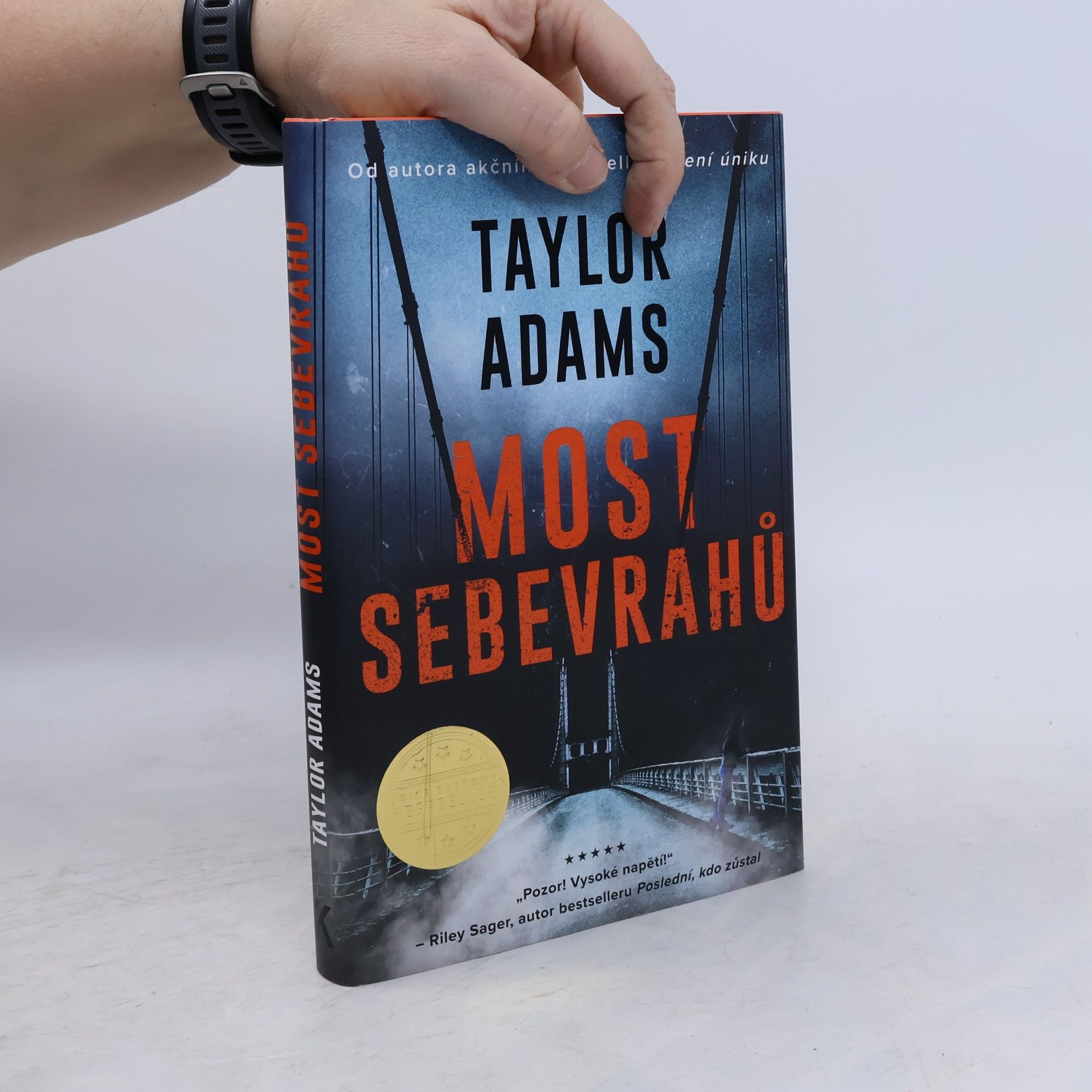 Taylor Adams Most sebevrahů