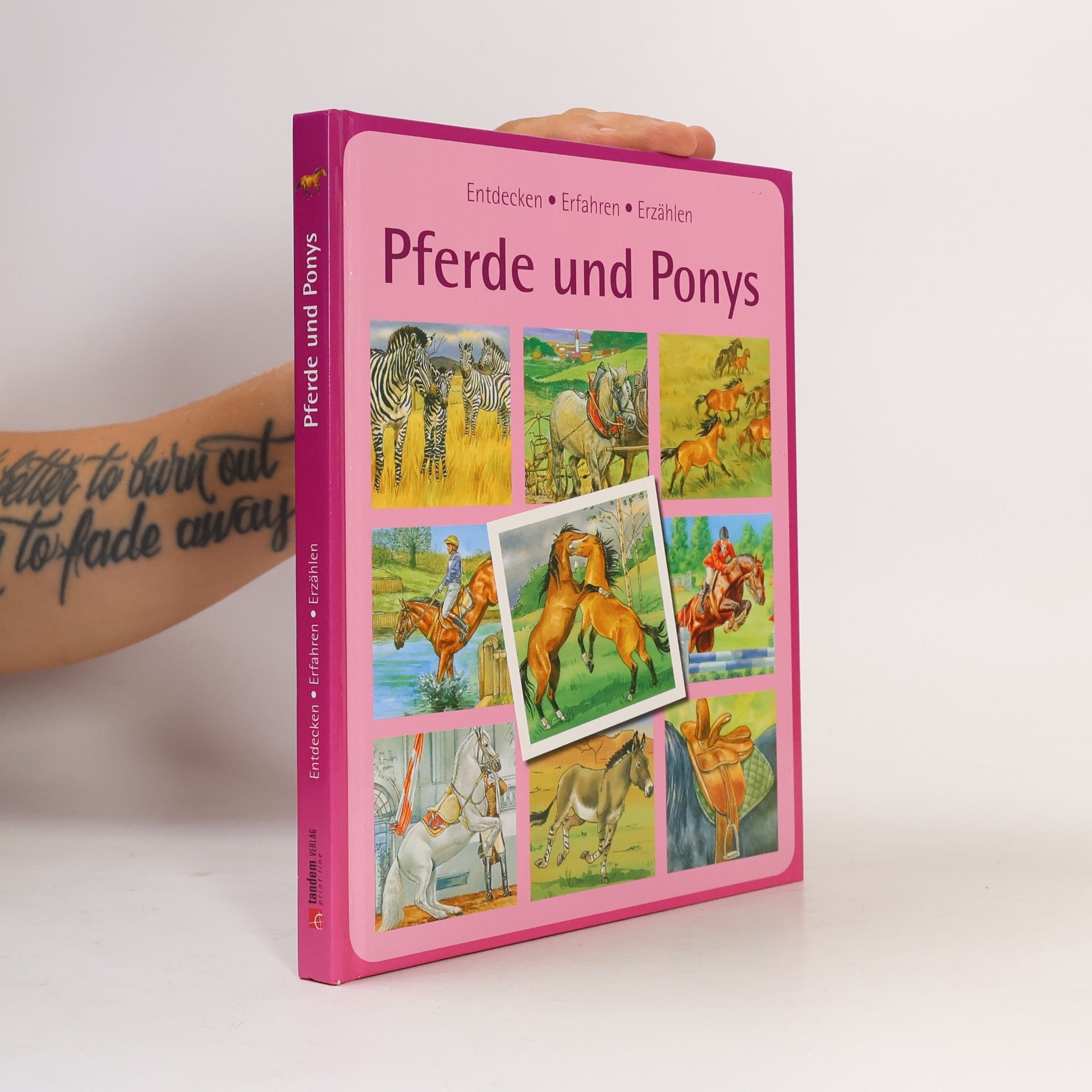 Autorenkollektiv Pferde und Ponys