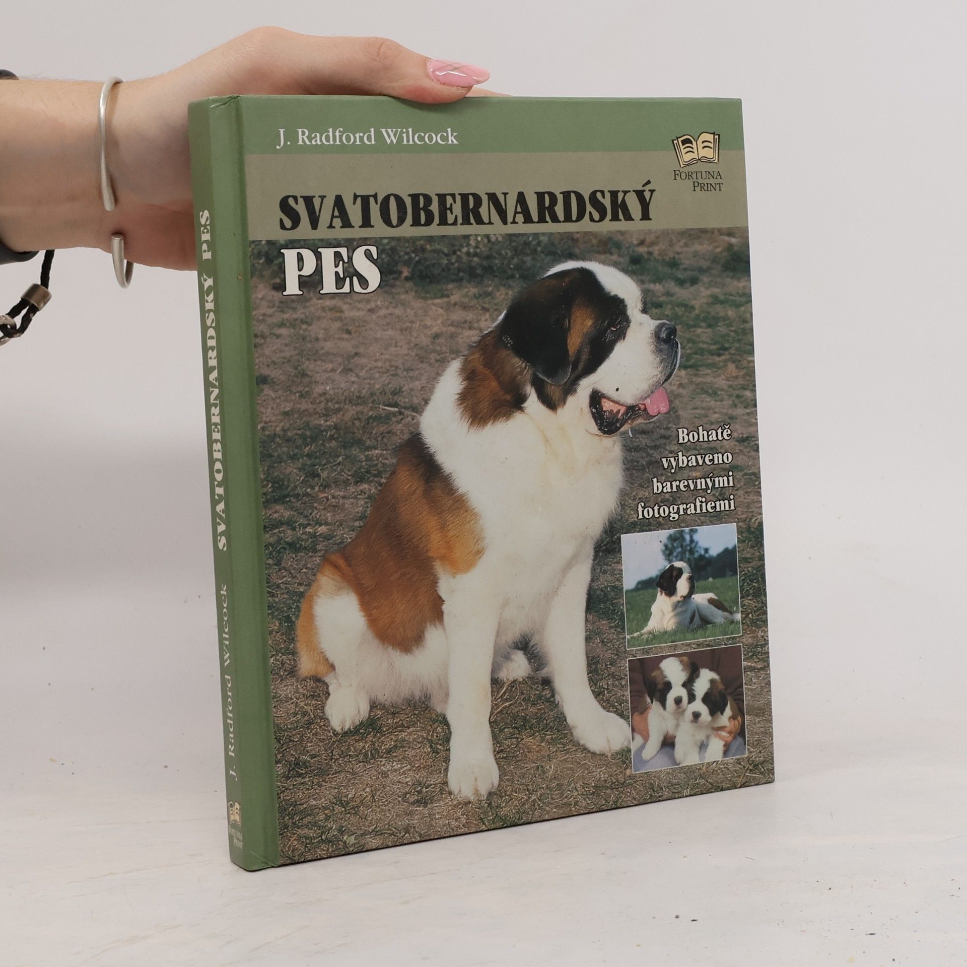 J. Radford Wilcock Svatobernardský pes