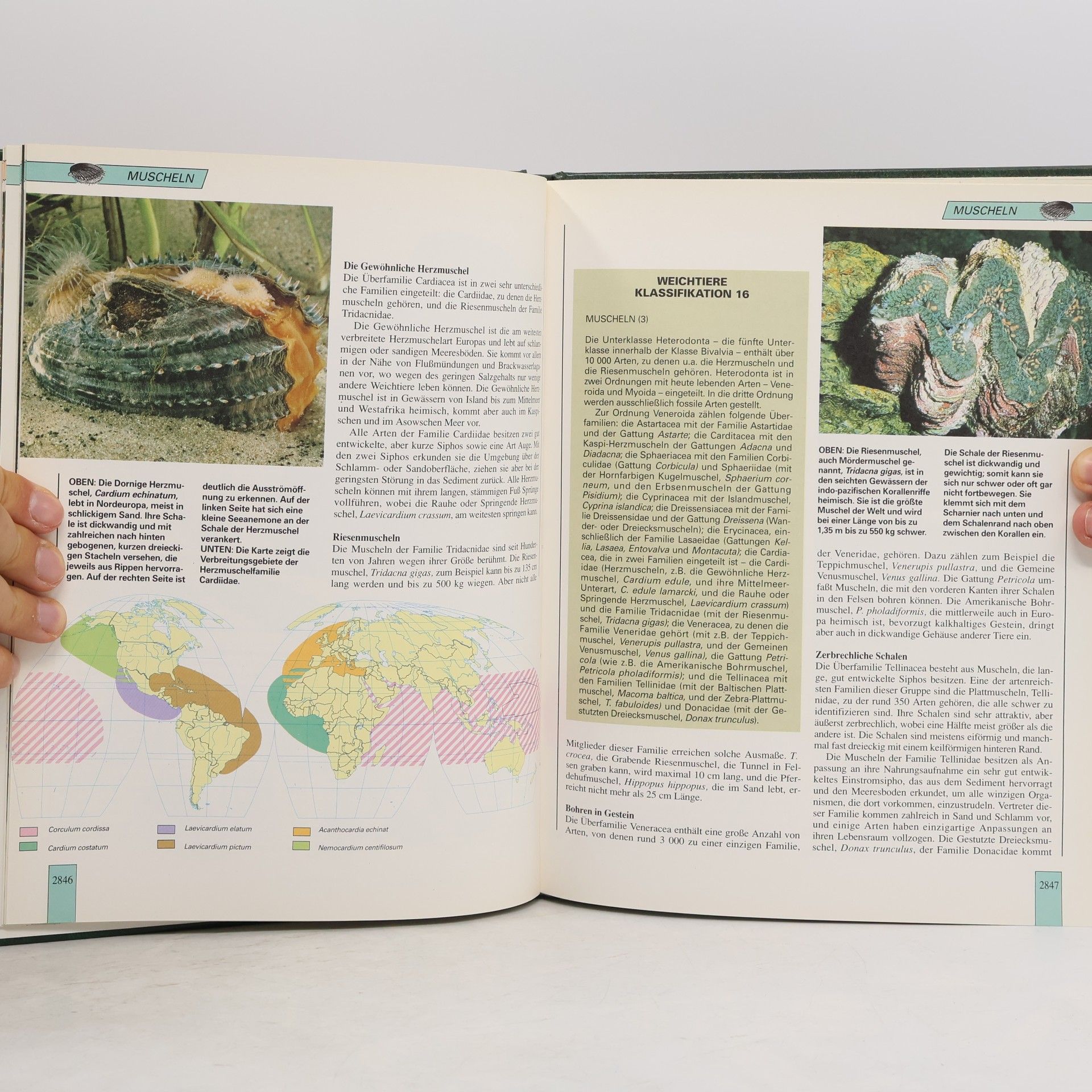 Autorenkollektiv Lebendiges Tierreich Band 48