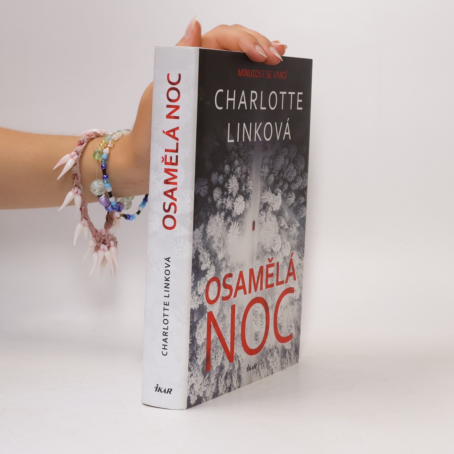 Charlotte Link Osamělá noc