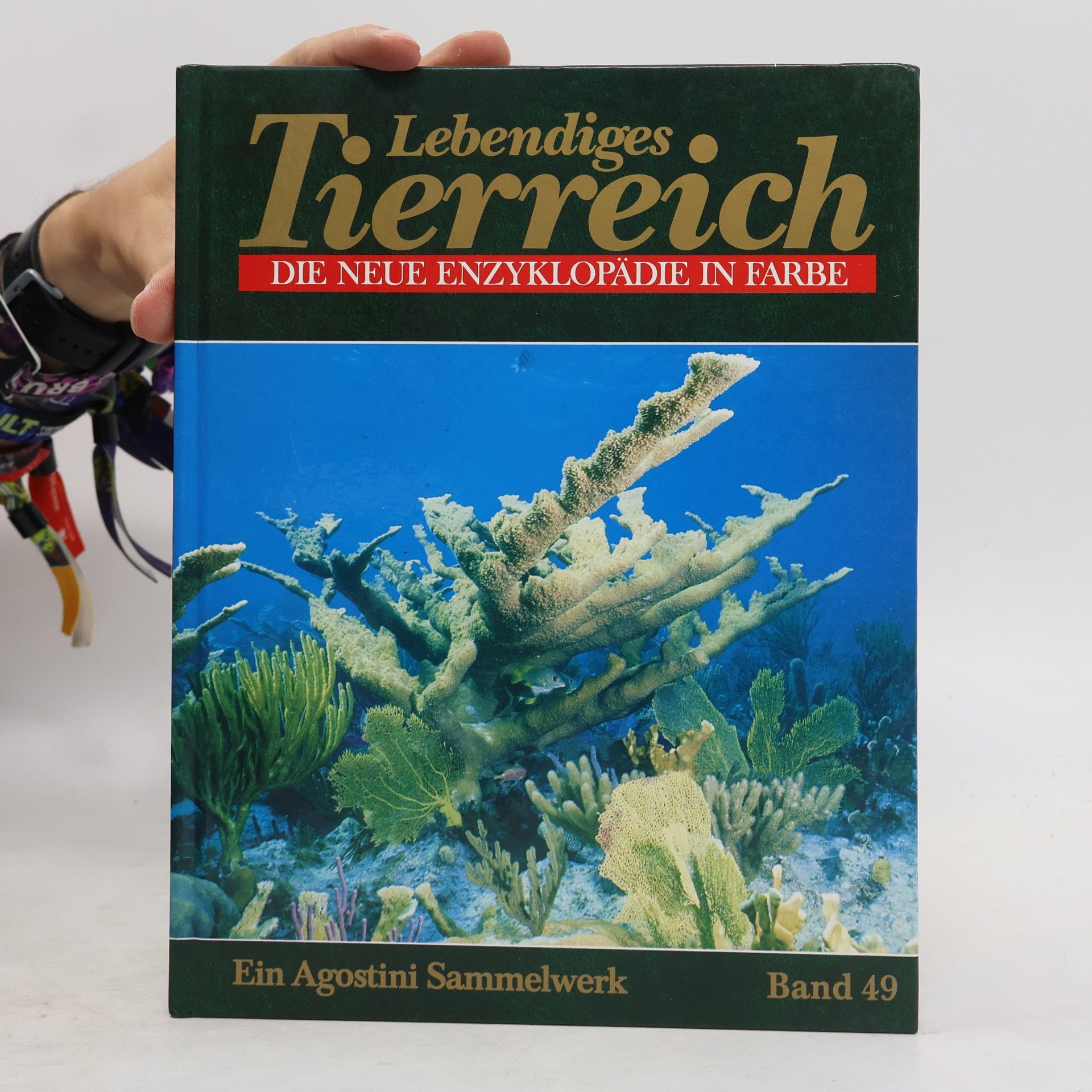 Autorenkollektiv Lebendiges Tierreich. Die Neue Enzyklopadie in Farbe 49
