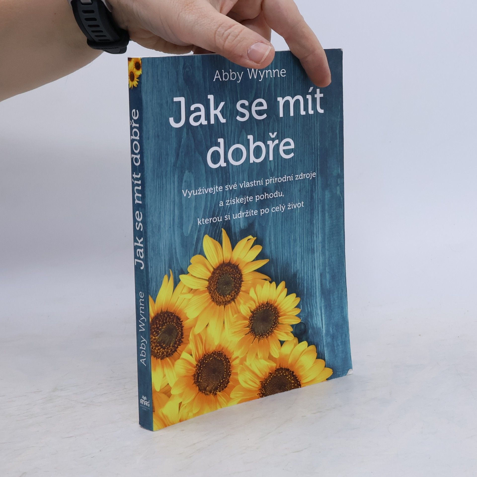 Abby Wynne Jak se mít dobře