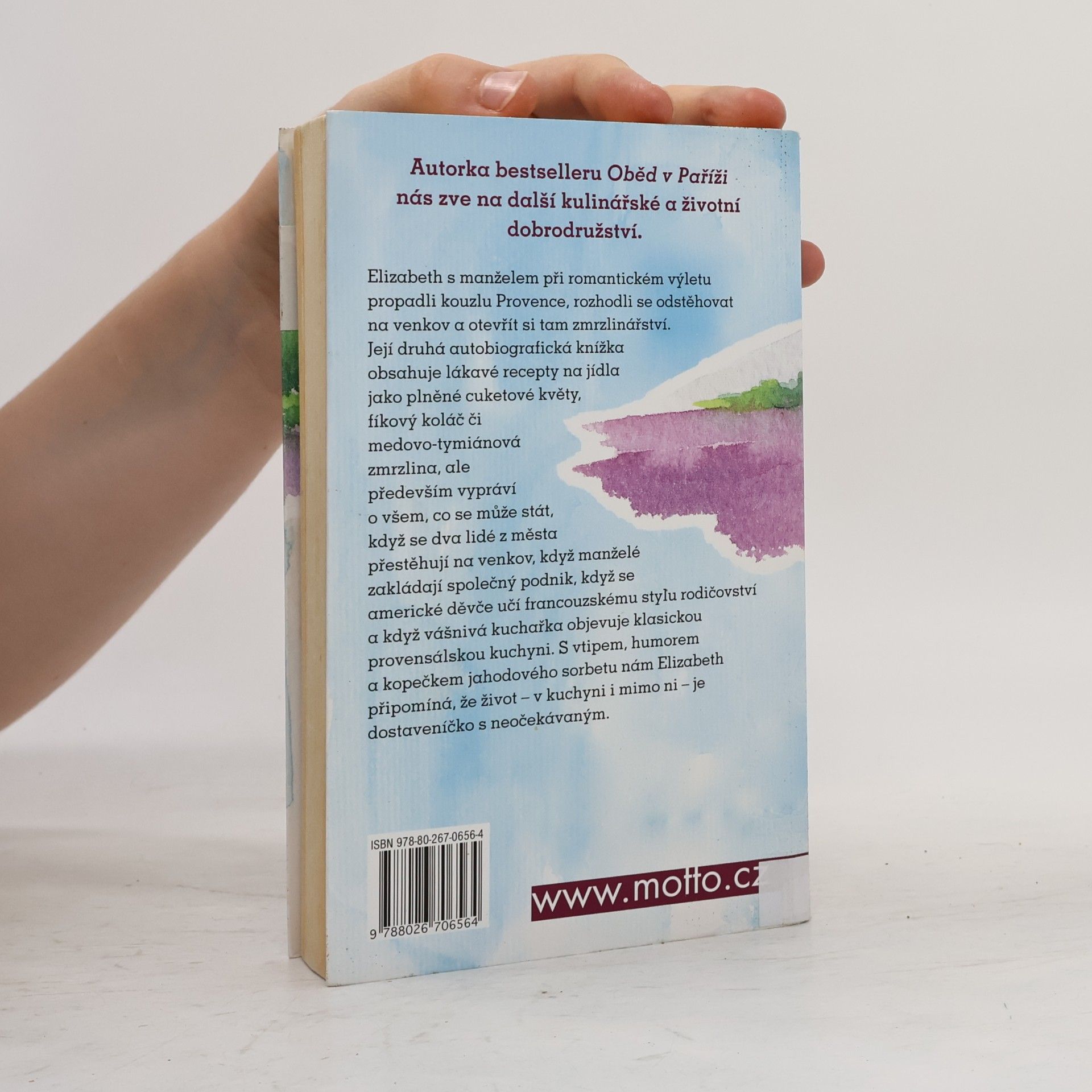 Elizabeth Bard Piknik v Provence