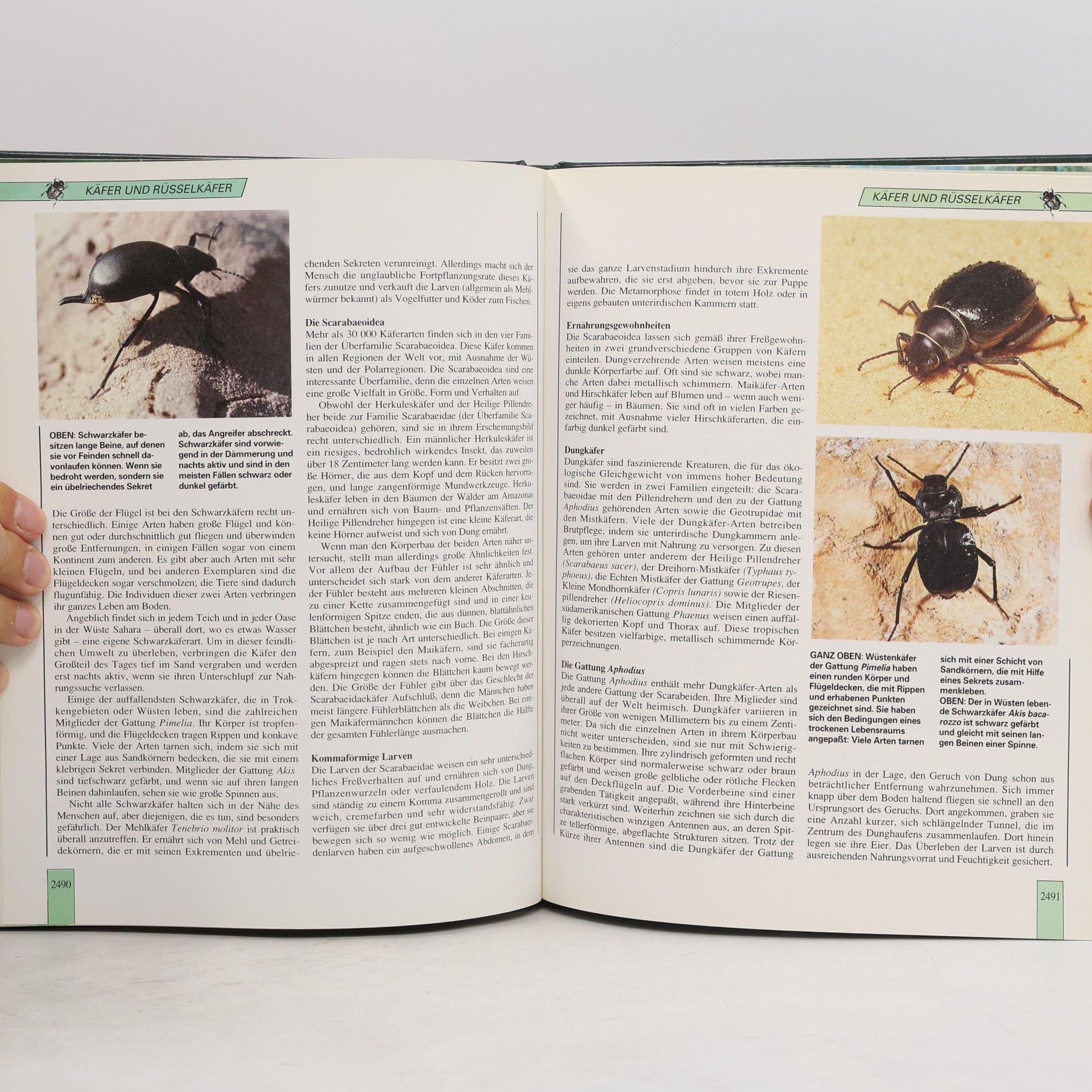Autores varios Lebendiges Tierreich Die neue Enzyklopädie in Farbe 42