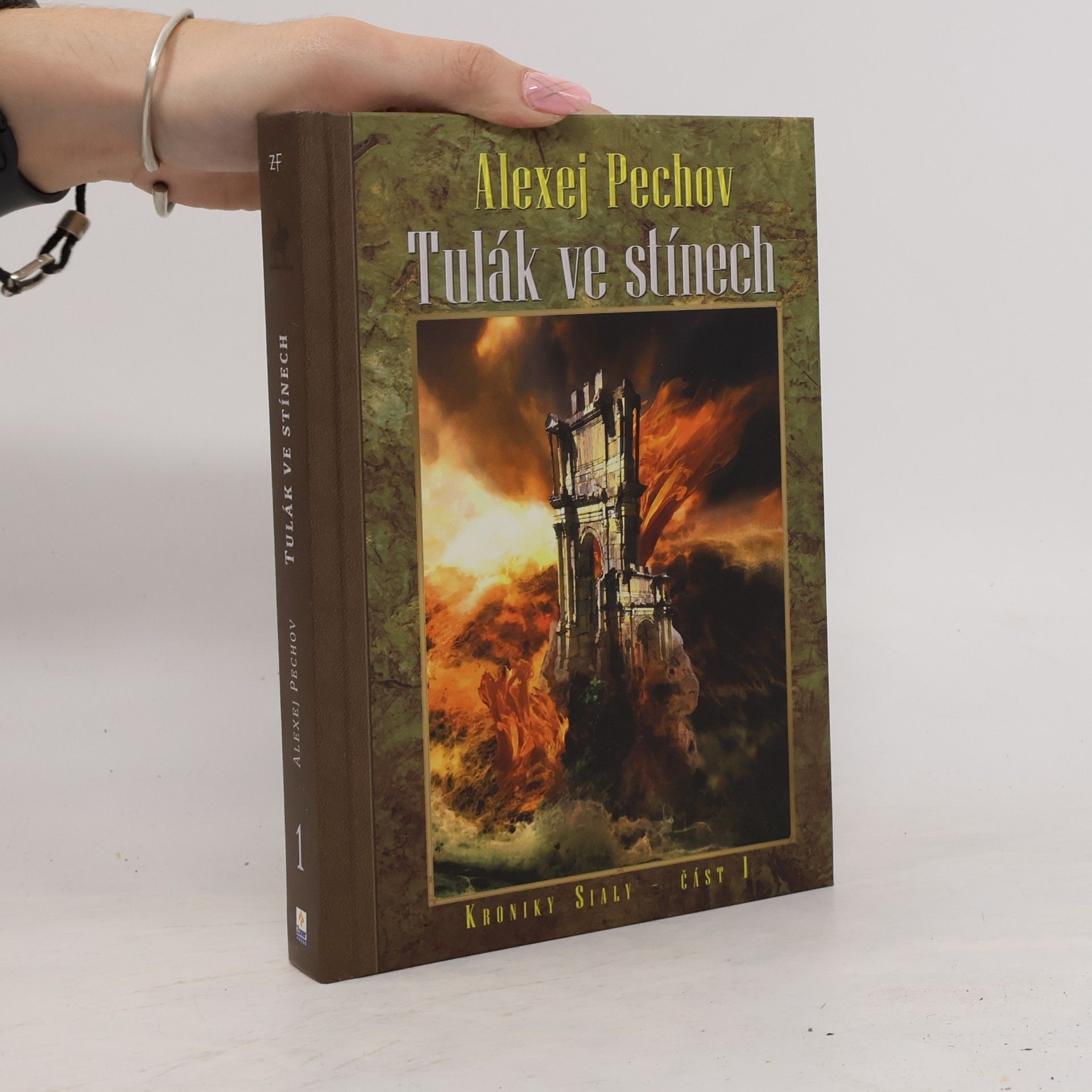 Aleksej Pechov Kroniky Sialy. Kniha 1, Tulák ve stínech