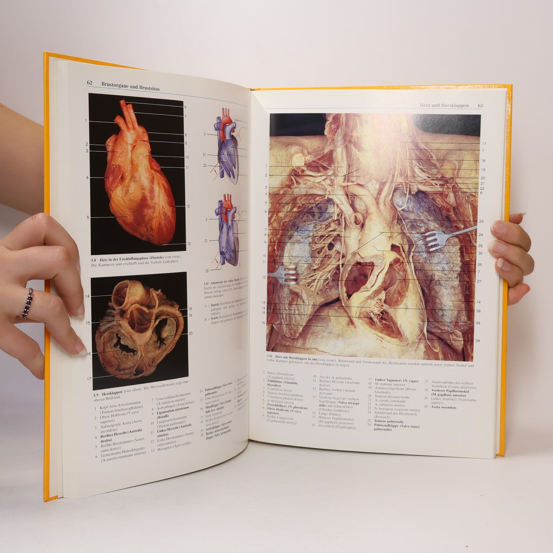 Chihiro Yokochi Photographische Anatomie des Menschen