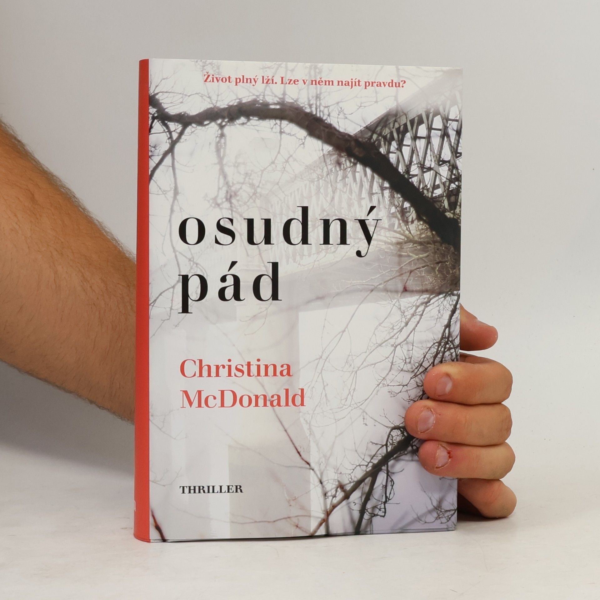 Christina McDonald Osudný pád