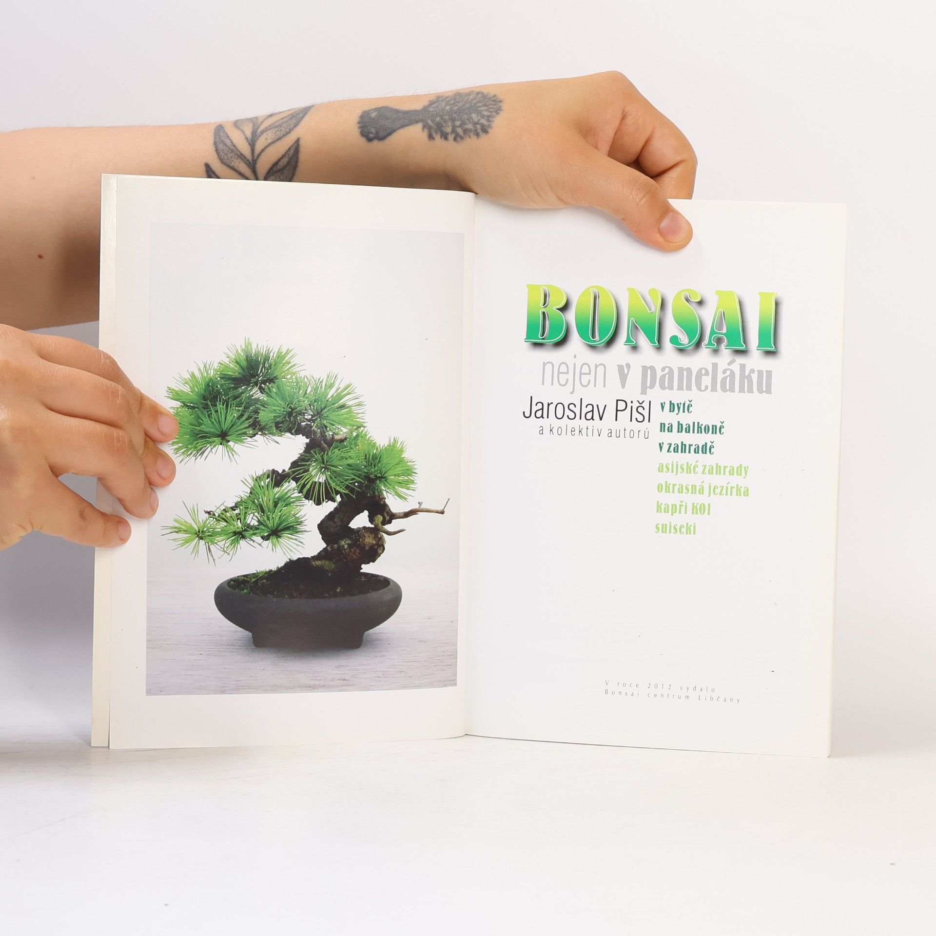 Jaroslav Pišl Bonsai