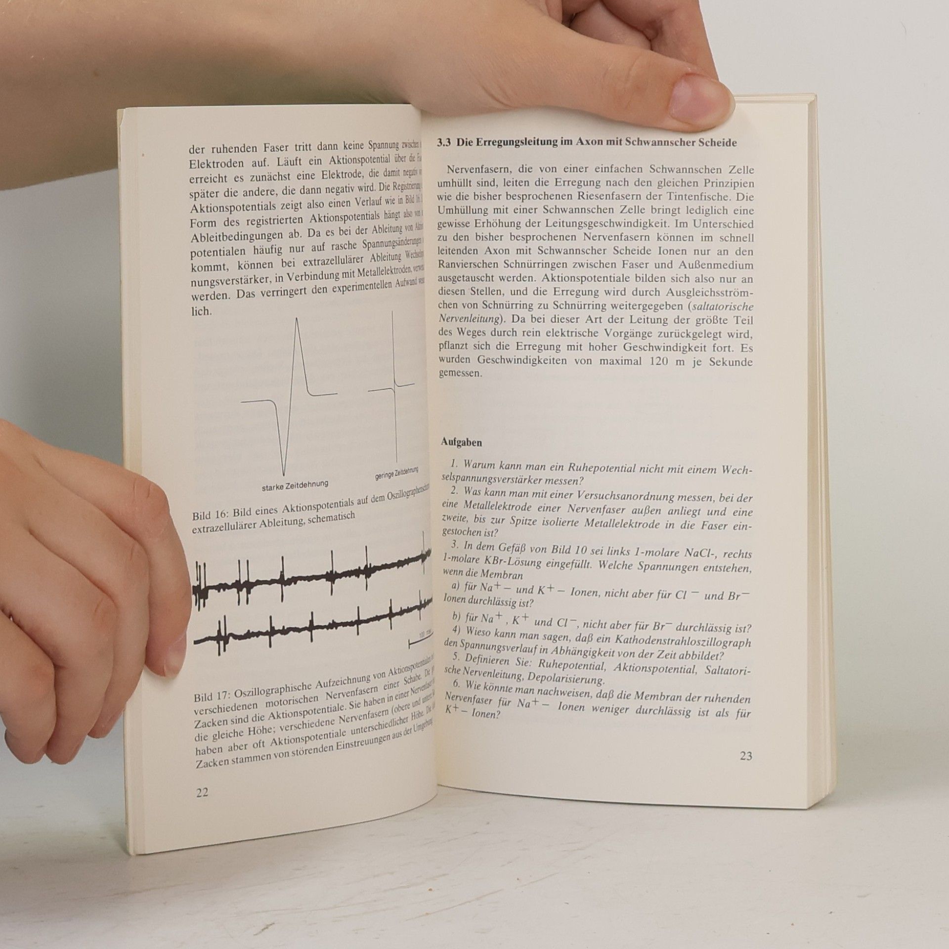 Ulrich Bäßler Studienreihe Biologie - 2: Sinnesorgane und Nervensystem