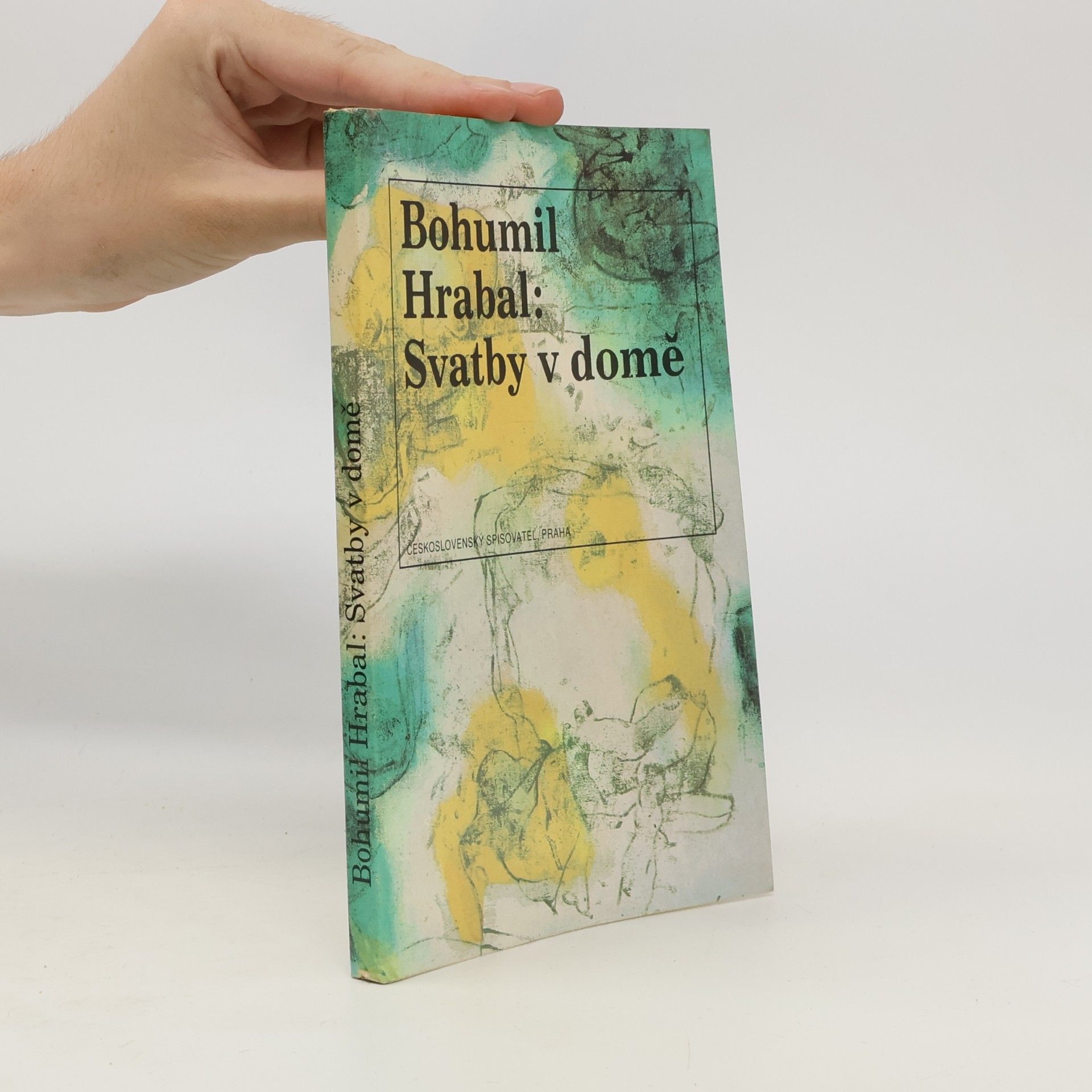 Svatby v domě. Dívčí románek. 1. díl trilogie