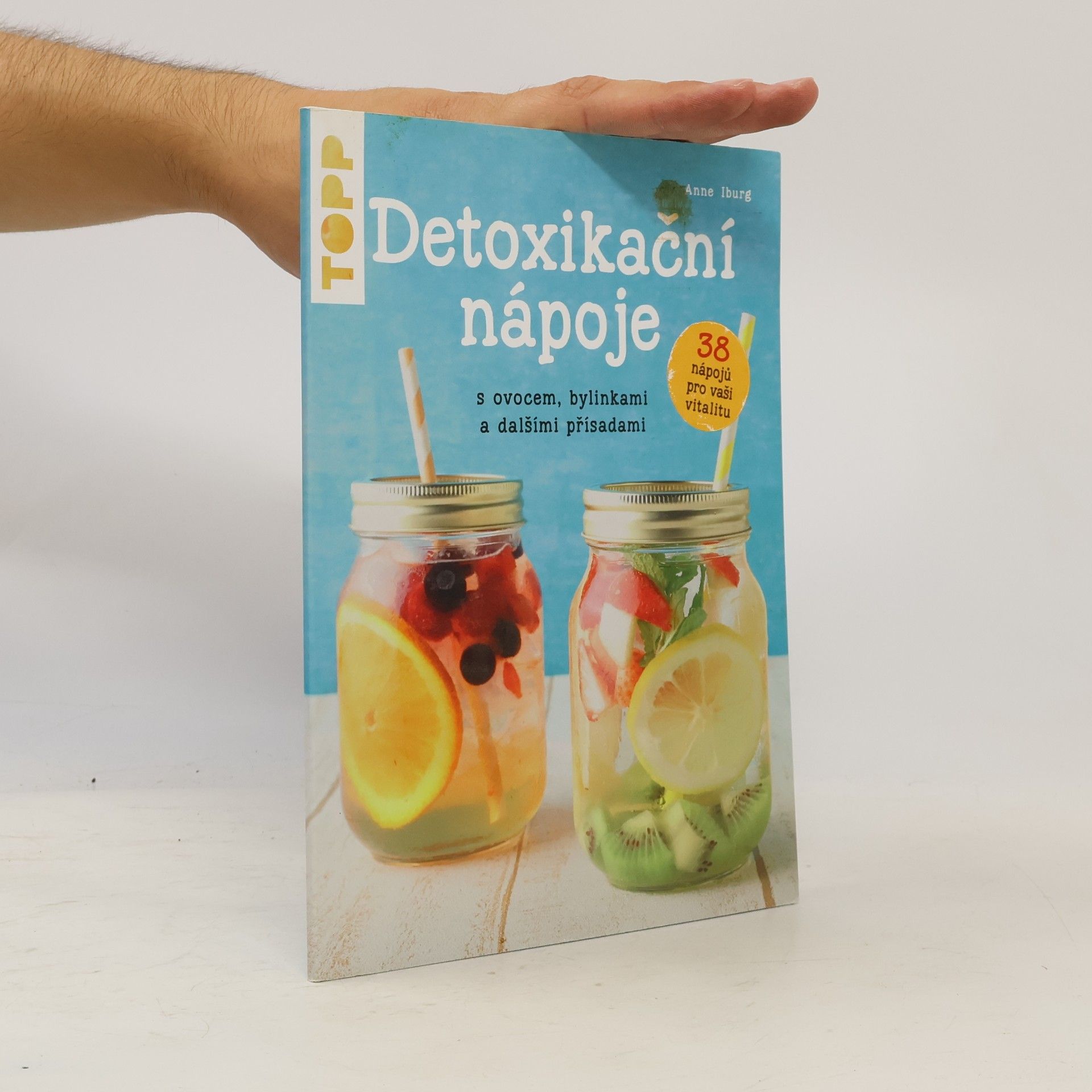Autorenkollektiv Detoxikační nápoje s ovocem, bylinkami a dalšími přísadami