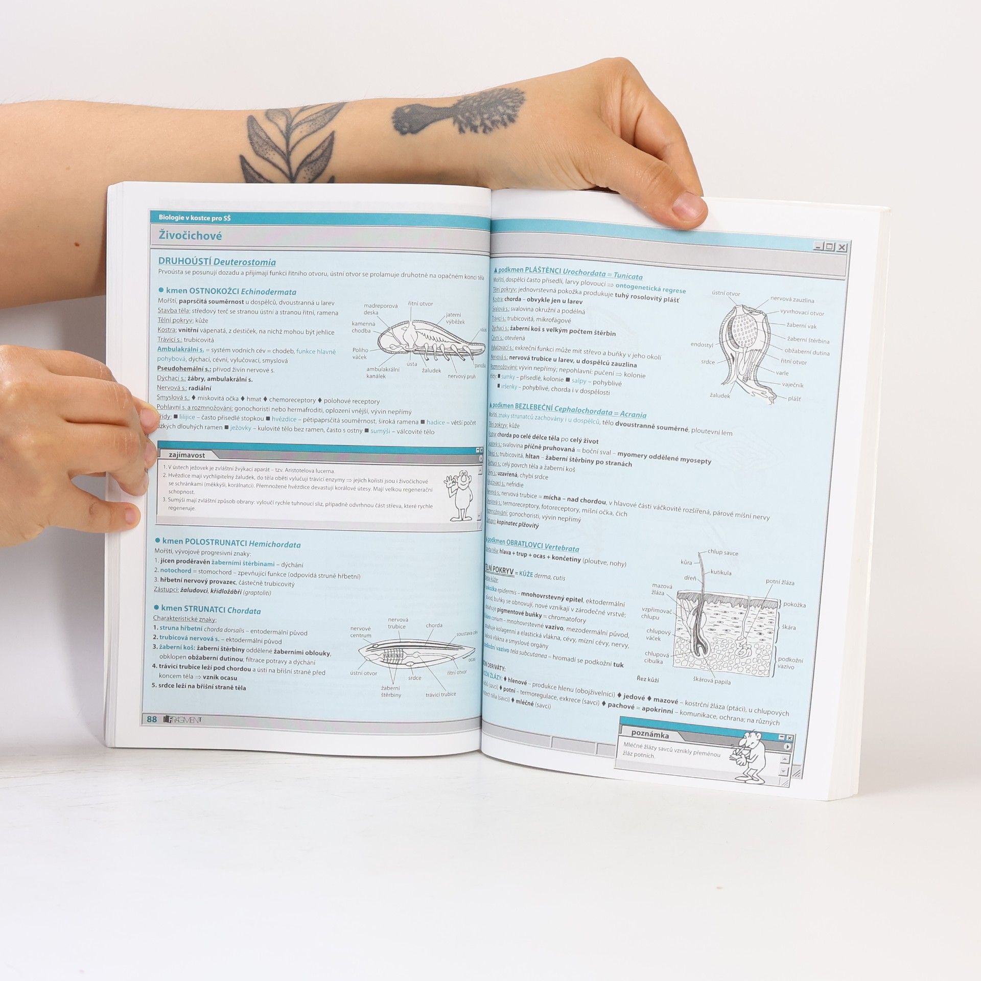 Hana Hančová Biologie v kostce : pro střední školy