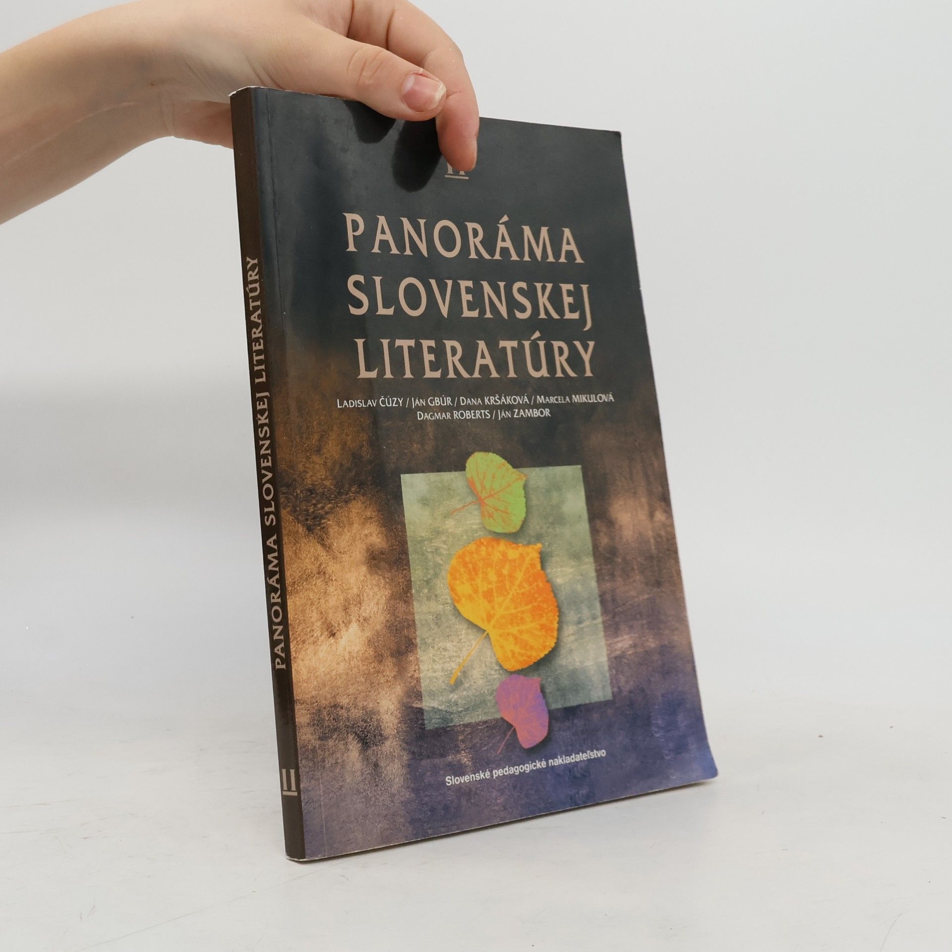 Autorenkollektiv Panoráma slovenskej literatúry II