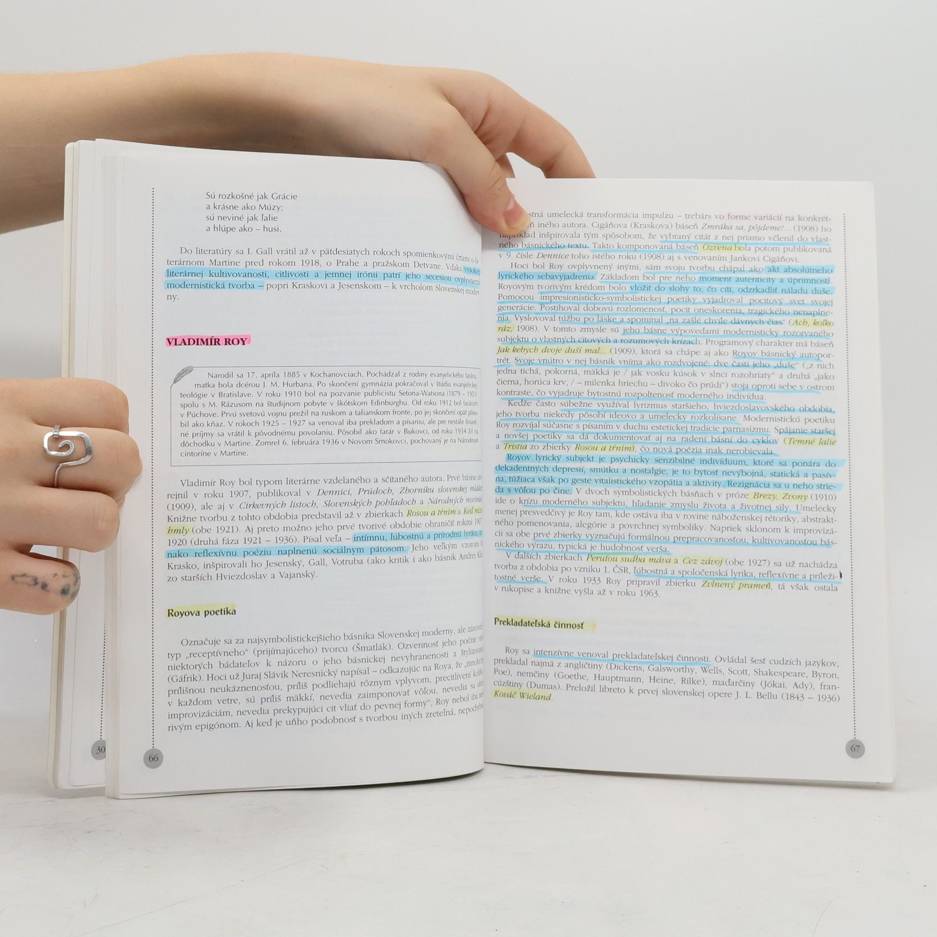 Autorenkollektiv Panoráma slovenskej literatúry II