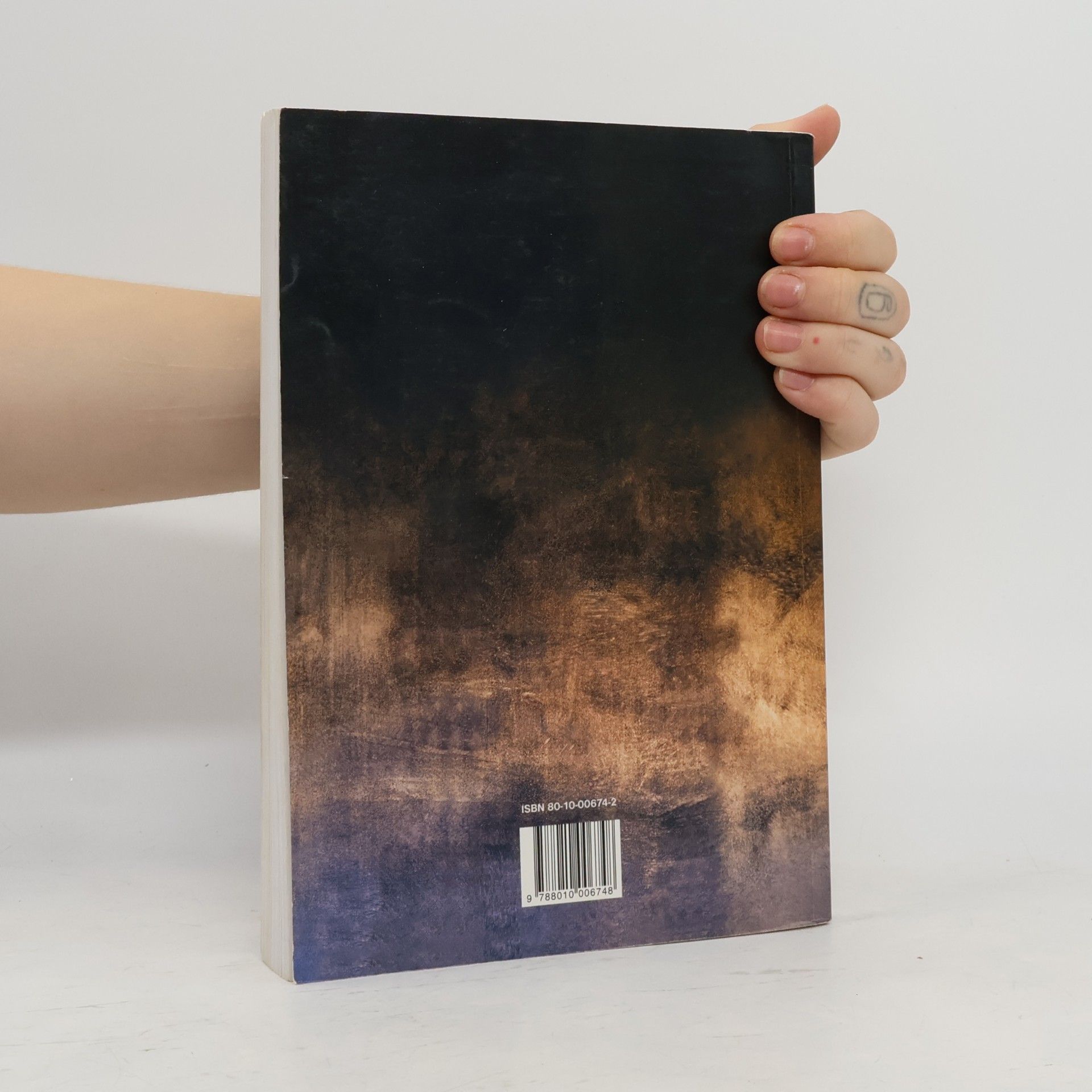 Autorenkollektiv Panoráma slovenskej literatúry II
