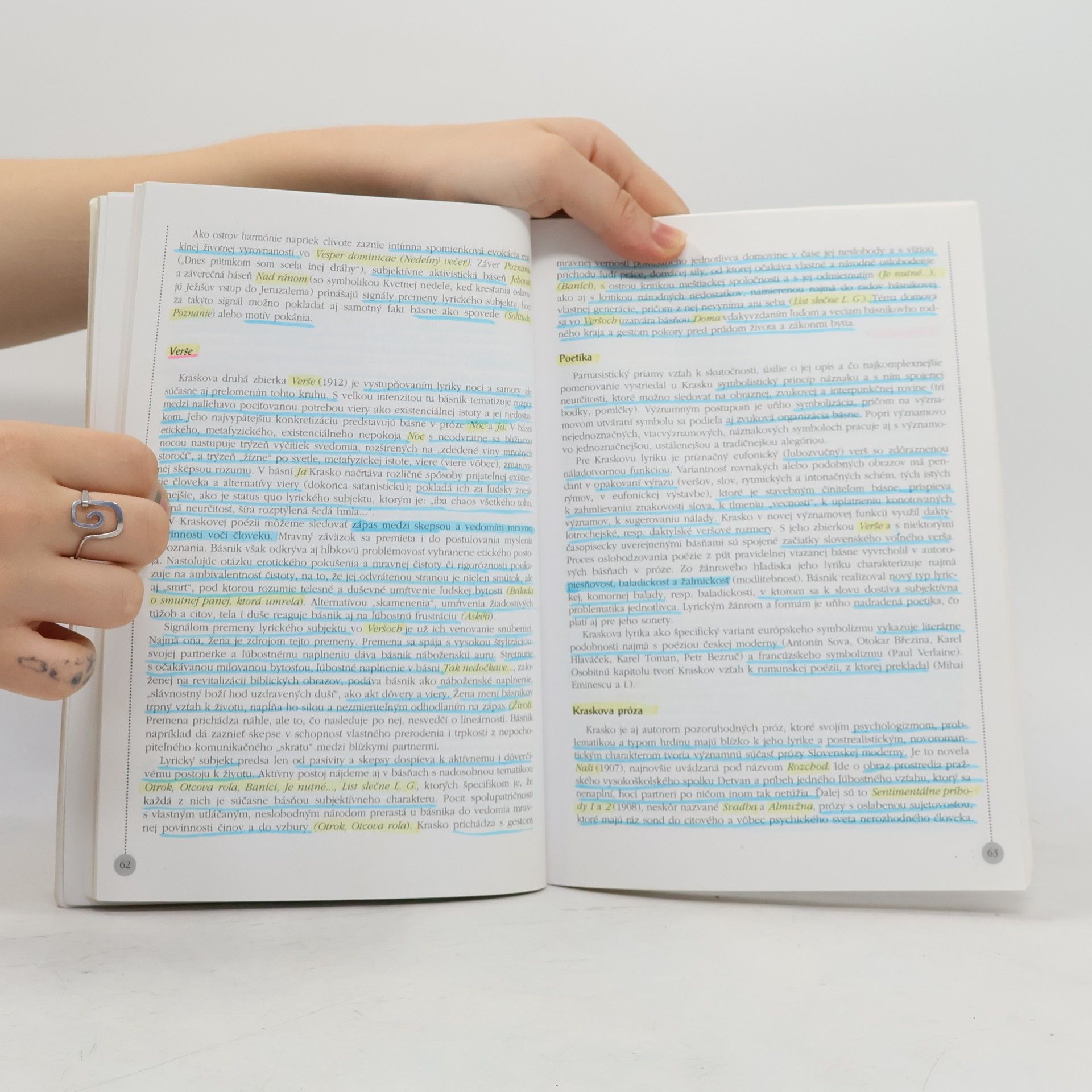 Autorenkollektiv Panoráma slovenskej literatúry II