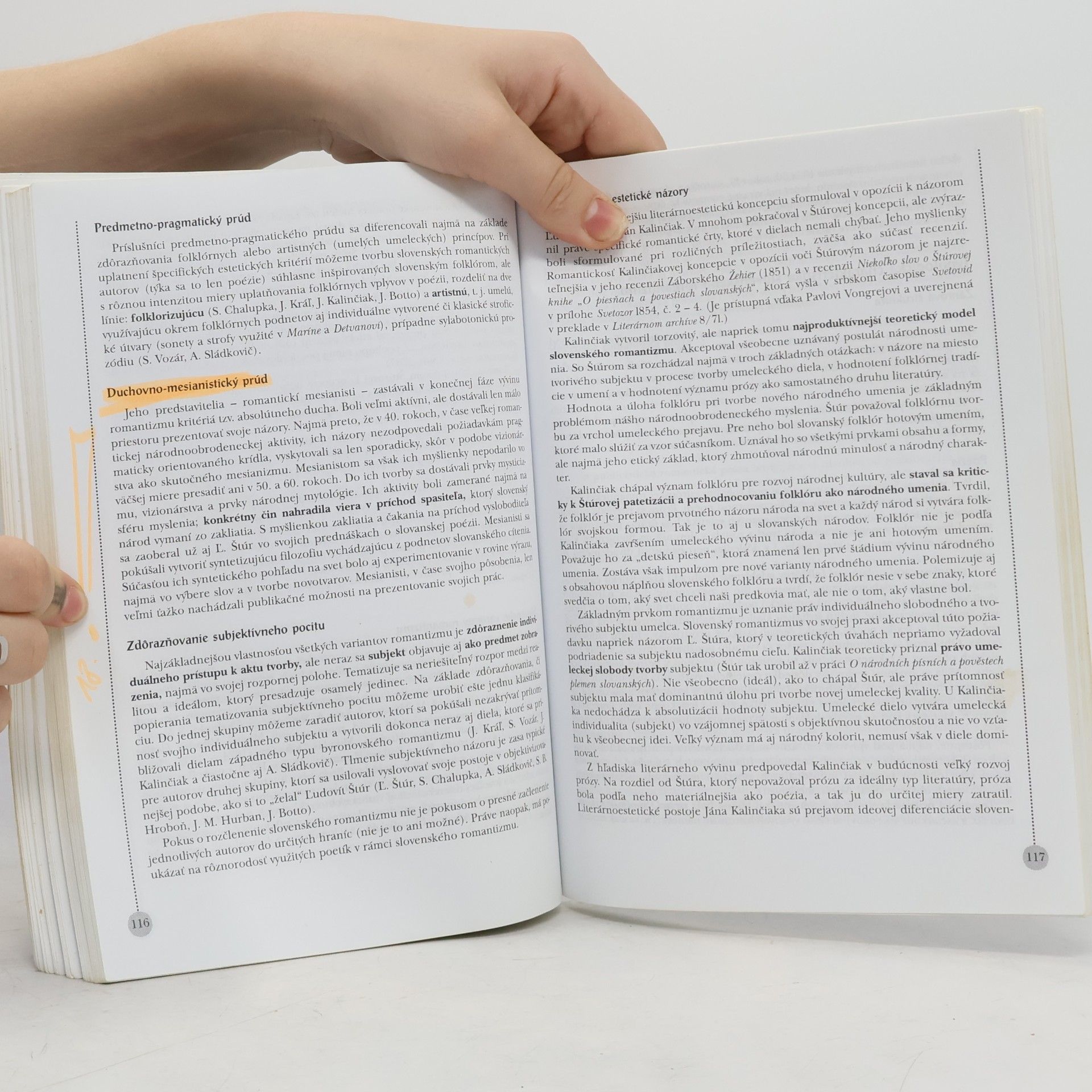 Autorenkollektiv Panoráma slovenskej literatúry I