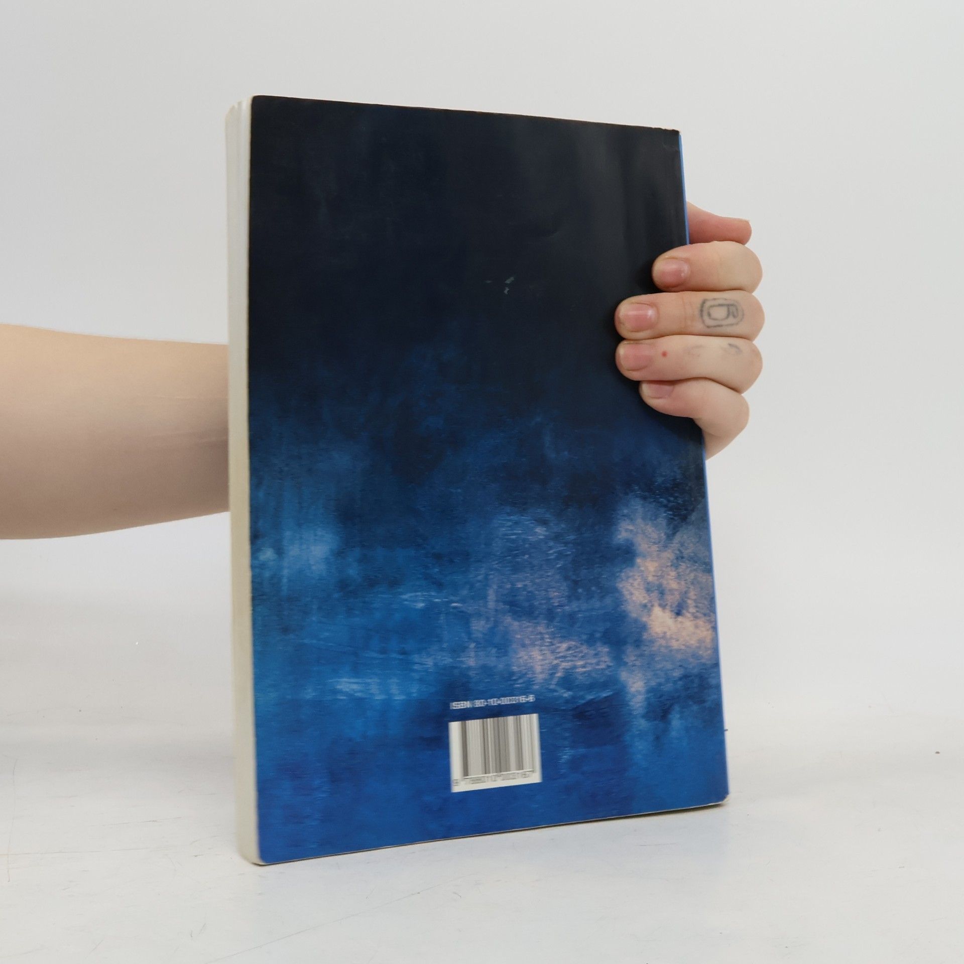 Autorenkollektiv Panoráma slovenskej literatúry I