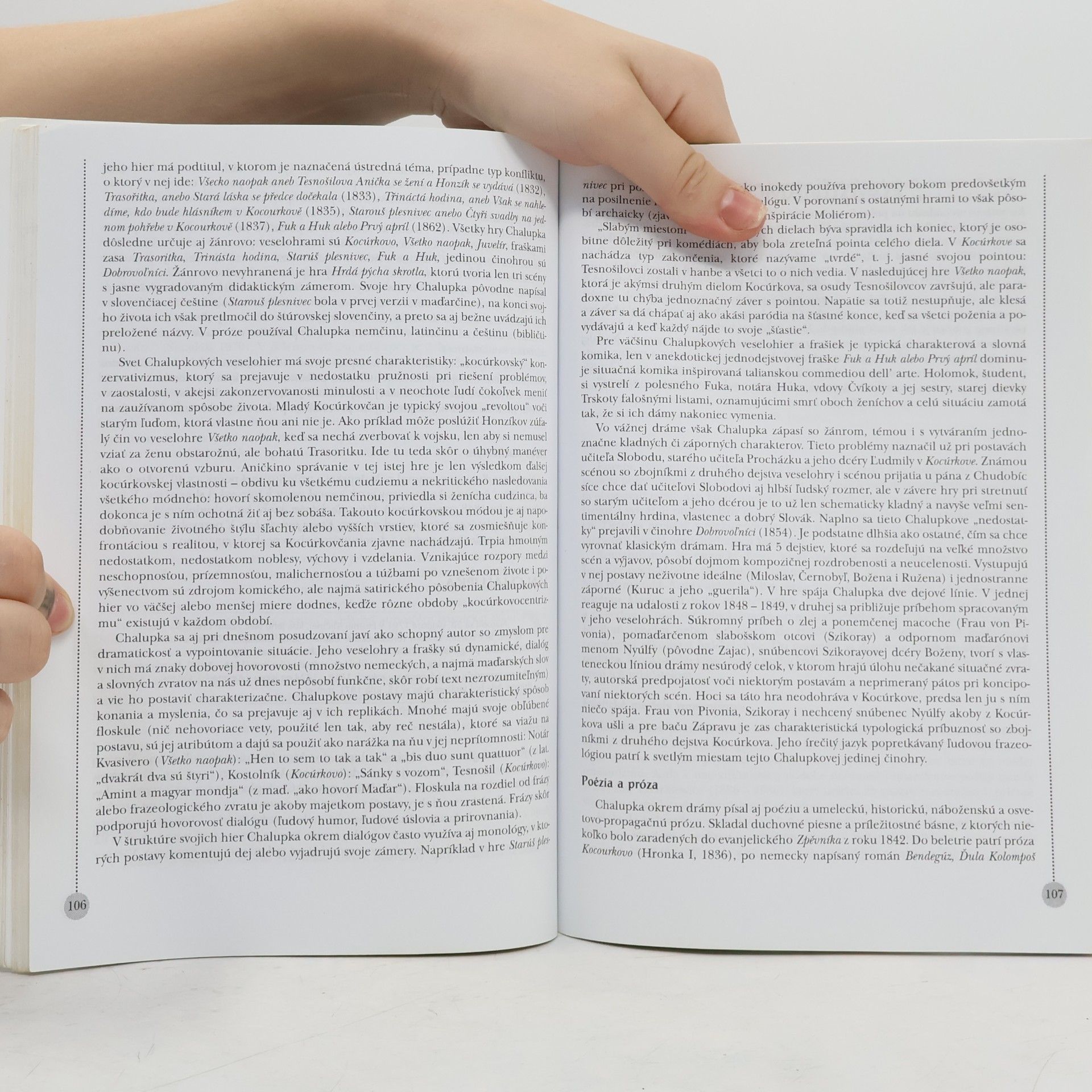 Autorenkollektiv Panoráma slovenskej literatúry I