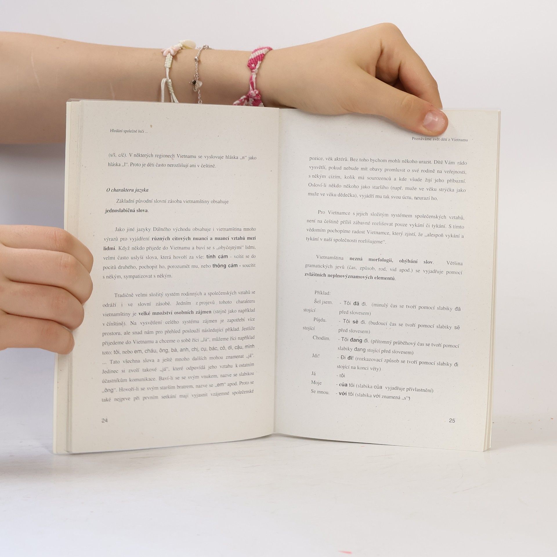 Jiří Kocourek Poznáváme svět dětí z Vietnamu: hledání společné řeči: stručná příručka pro pedagogické pracovníky o podmínkách života dětí "nečeských" národností příjíždějících do ČR a o jejich vlasti