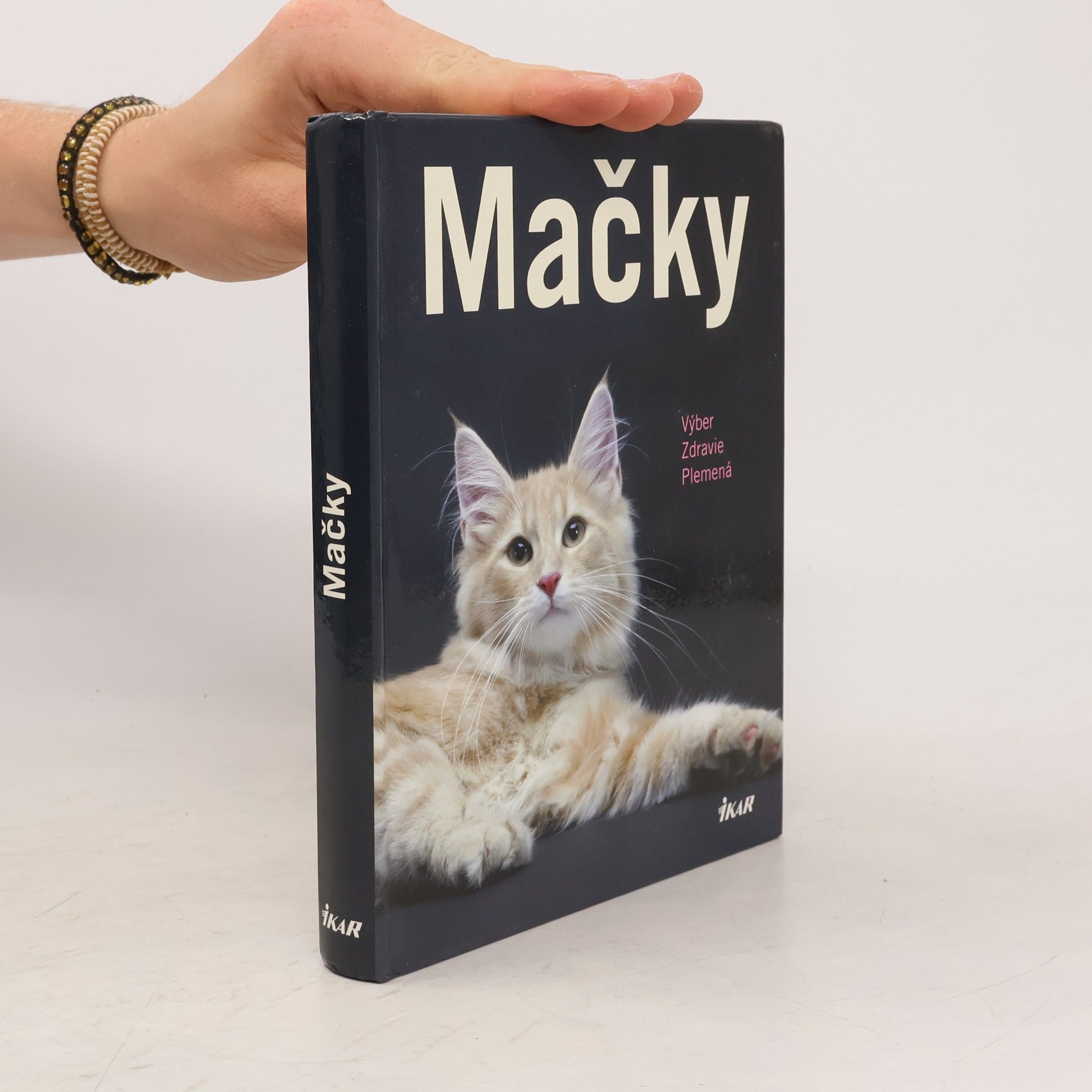 Antje Breuer Mačky