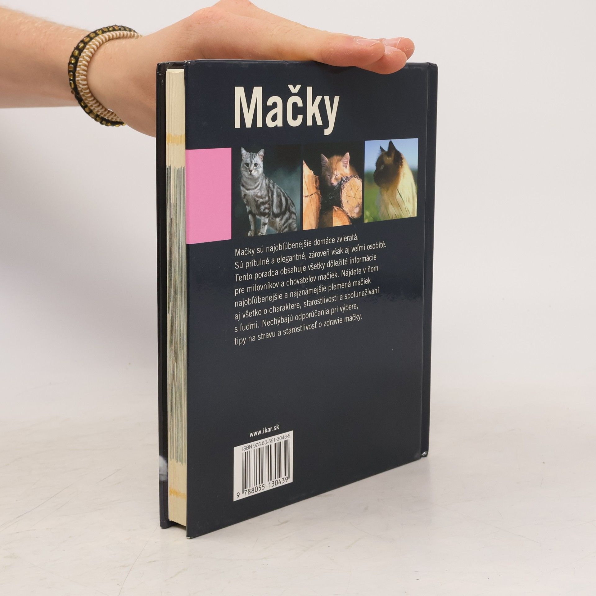 Antje Breuer Mačky