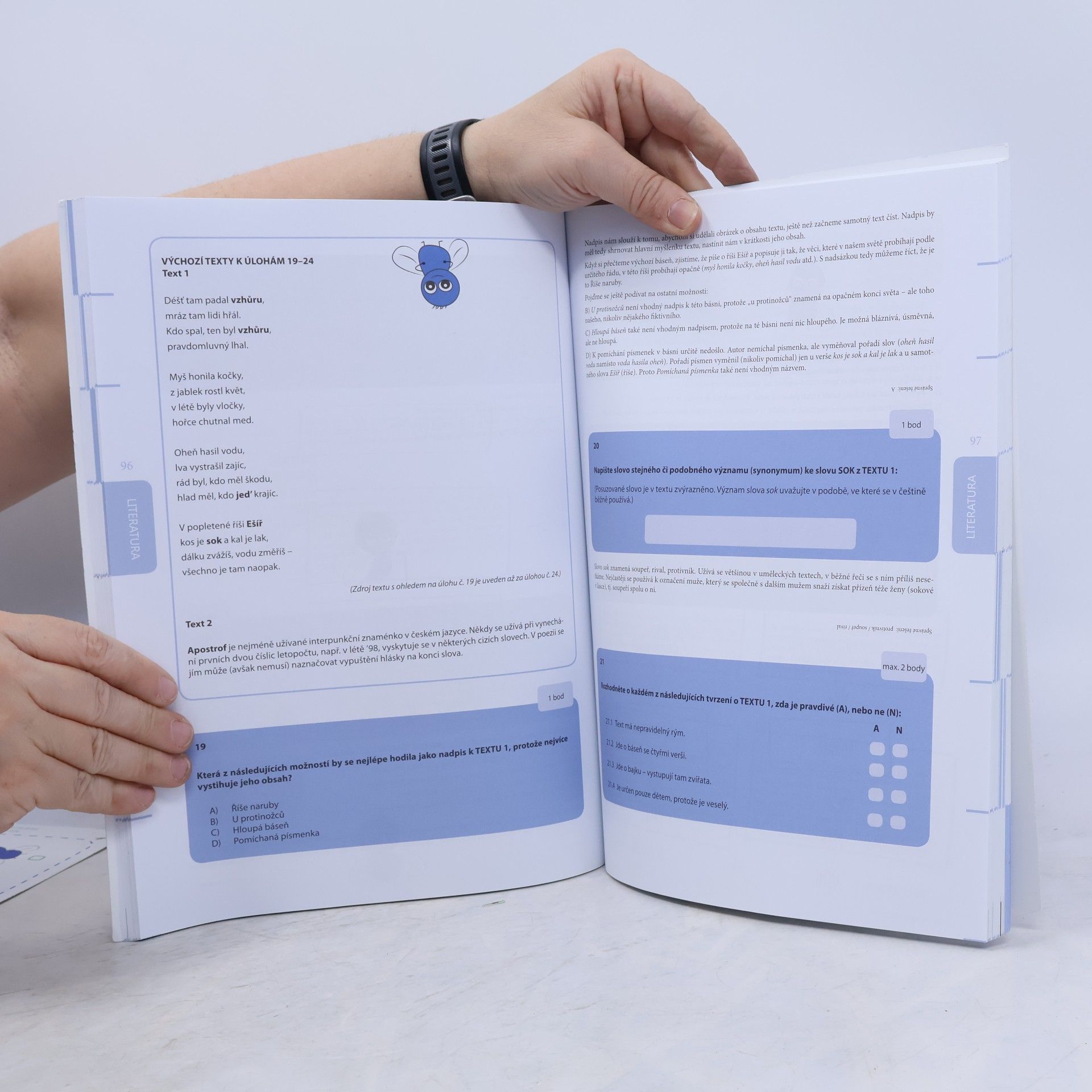 Various authors Cvičebnice - státní přijímací zkoušky 5. třída