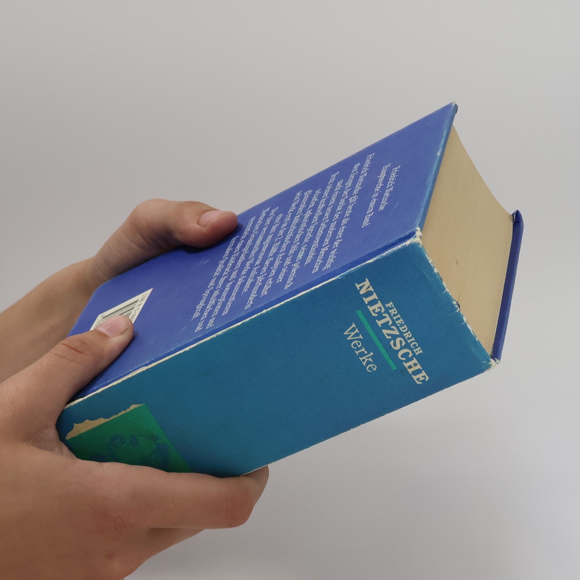 Friedrich Nietzsche Ausgewählte Werke