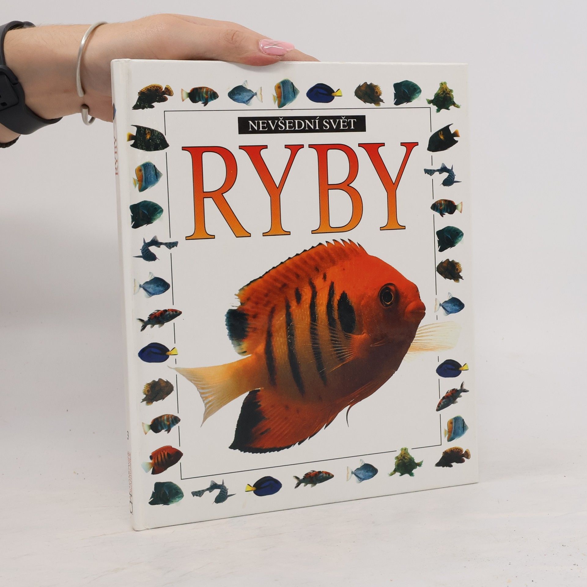Auteurscollectief Nevšední svět - Ryby