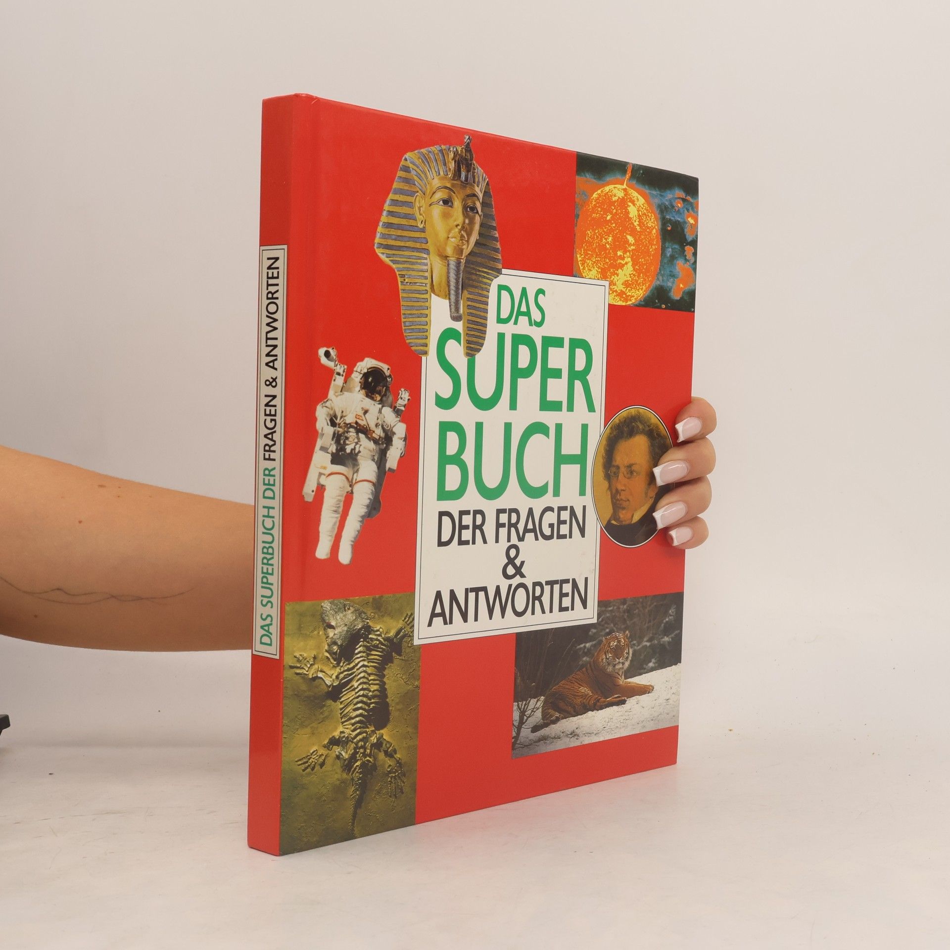 Autorenkollektiv Das Superbuch der Fragen & Antworten