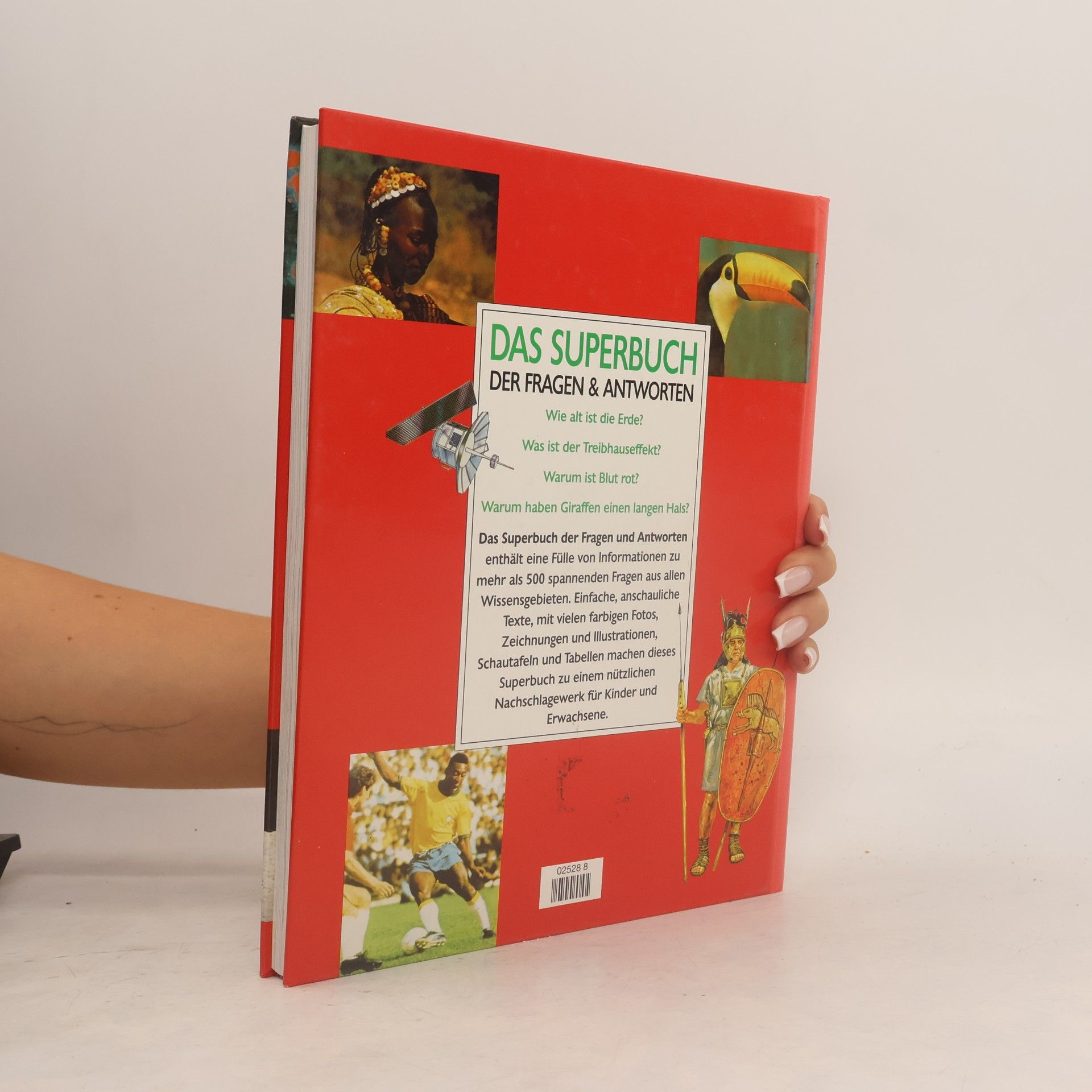 Autorenkollektiv Das Superbuch der Fragen & Antworten