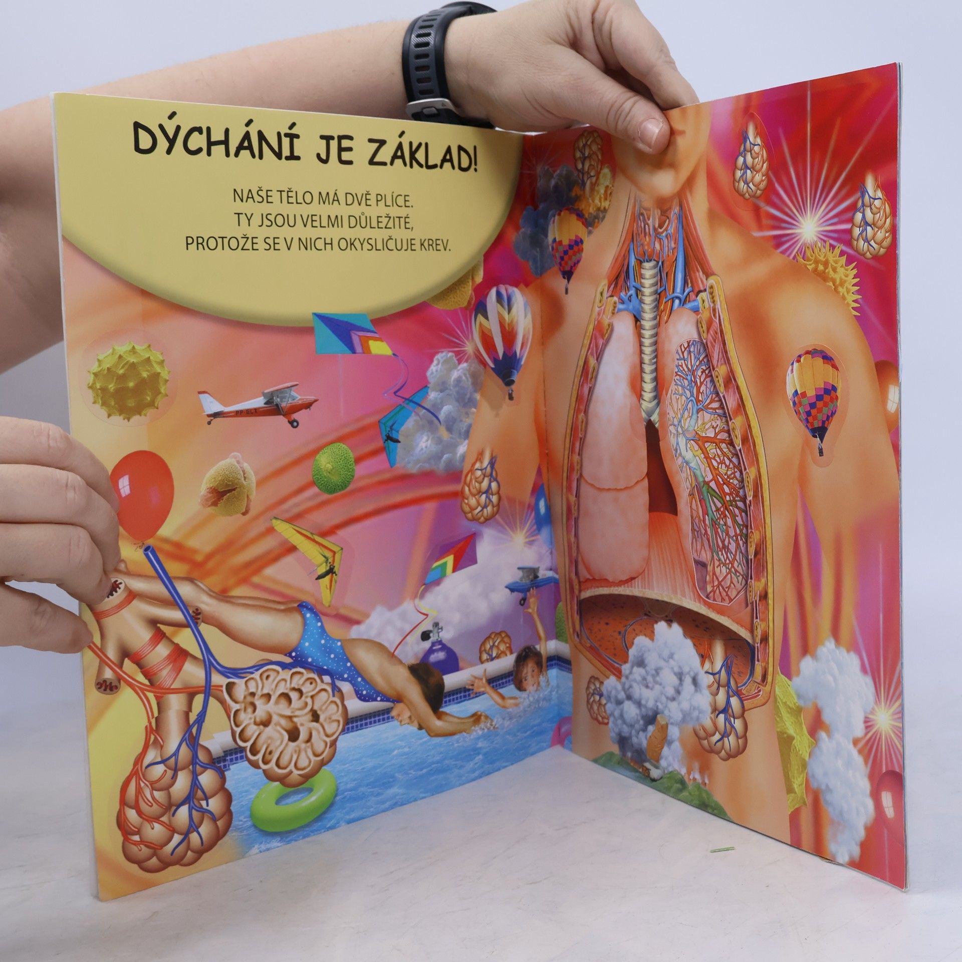 Francisco Arredondo Lidské tělo : hledací knížka
